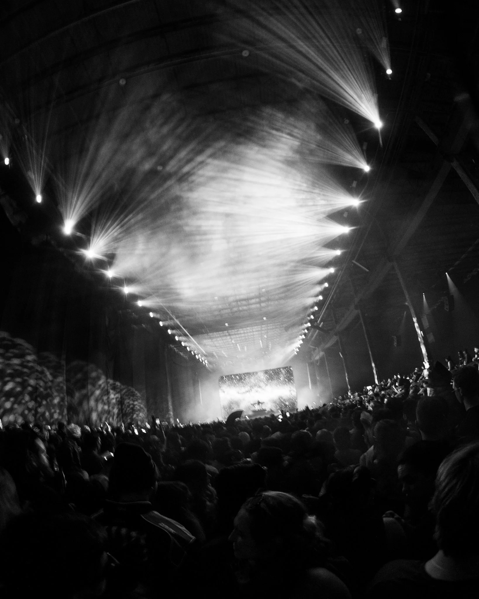REZZ_BrooklynStorehouse_4x5_ragin__gagin-10 2.JPG