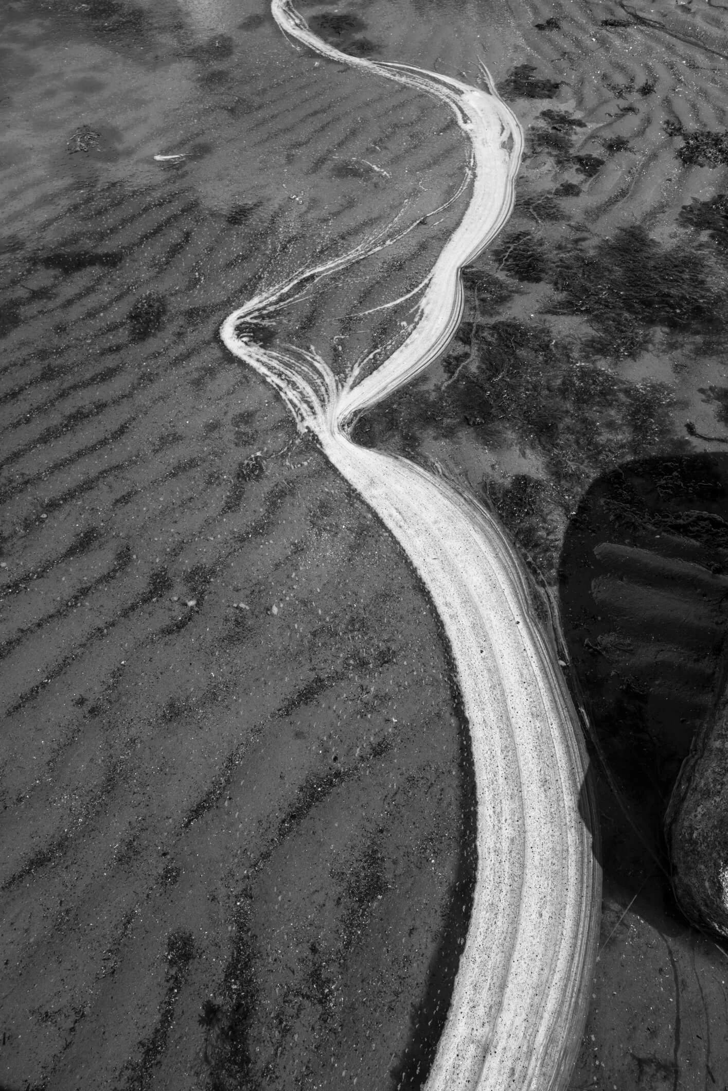 L1000152.jpg