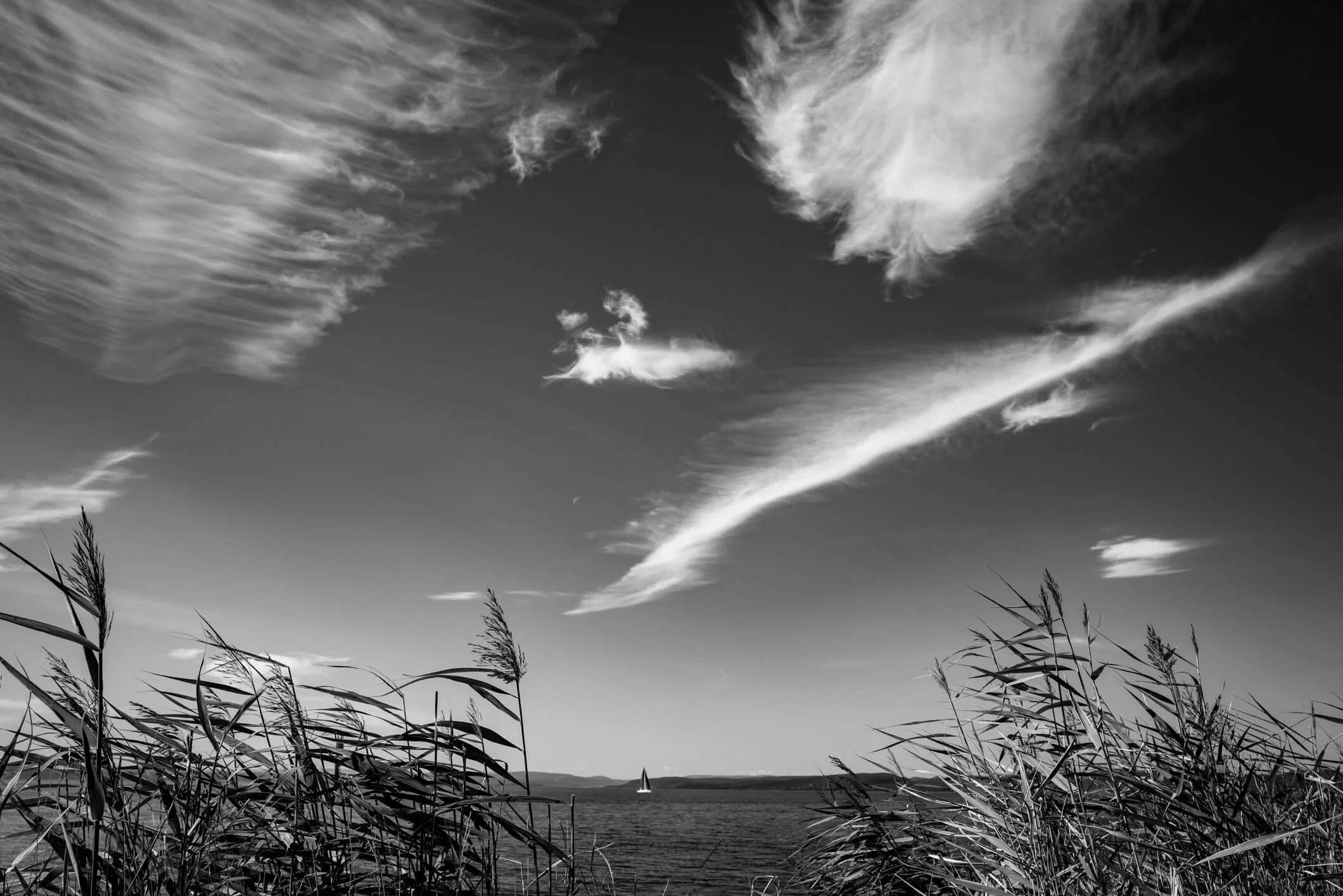 L1010185-2.jpg