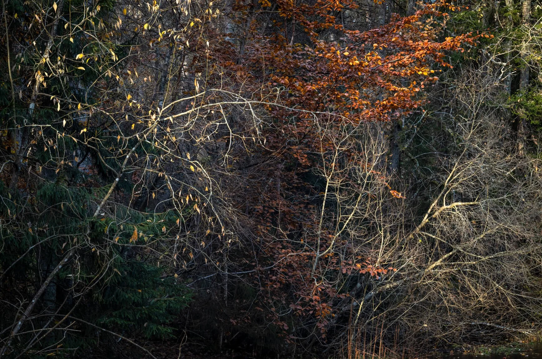 L1001270.jpg