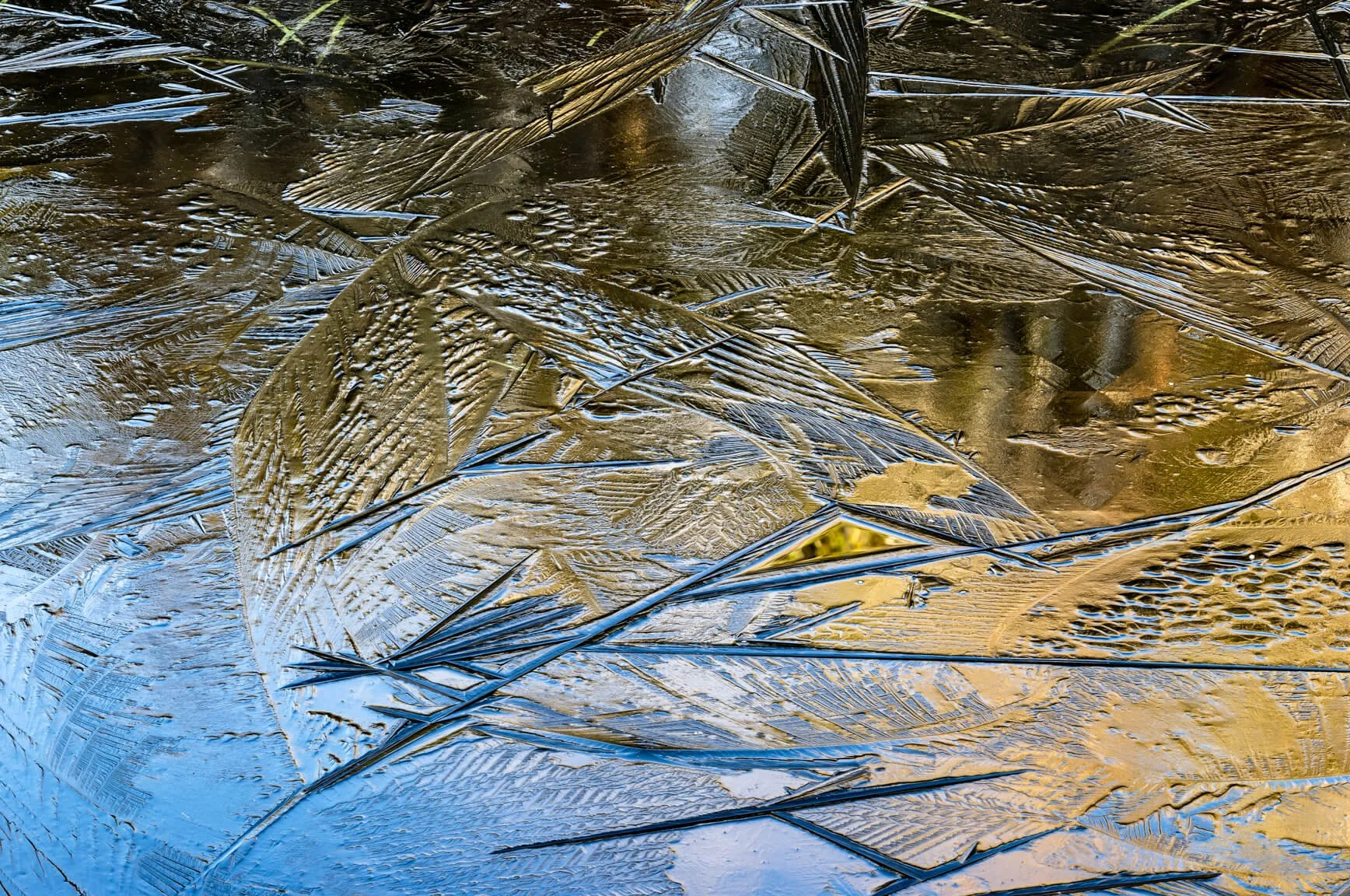 L1001274.jpg