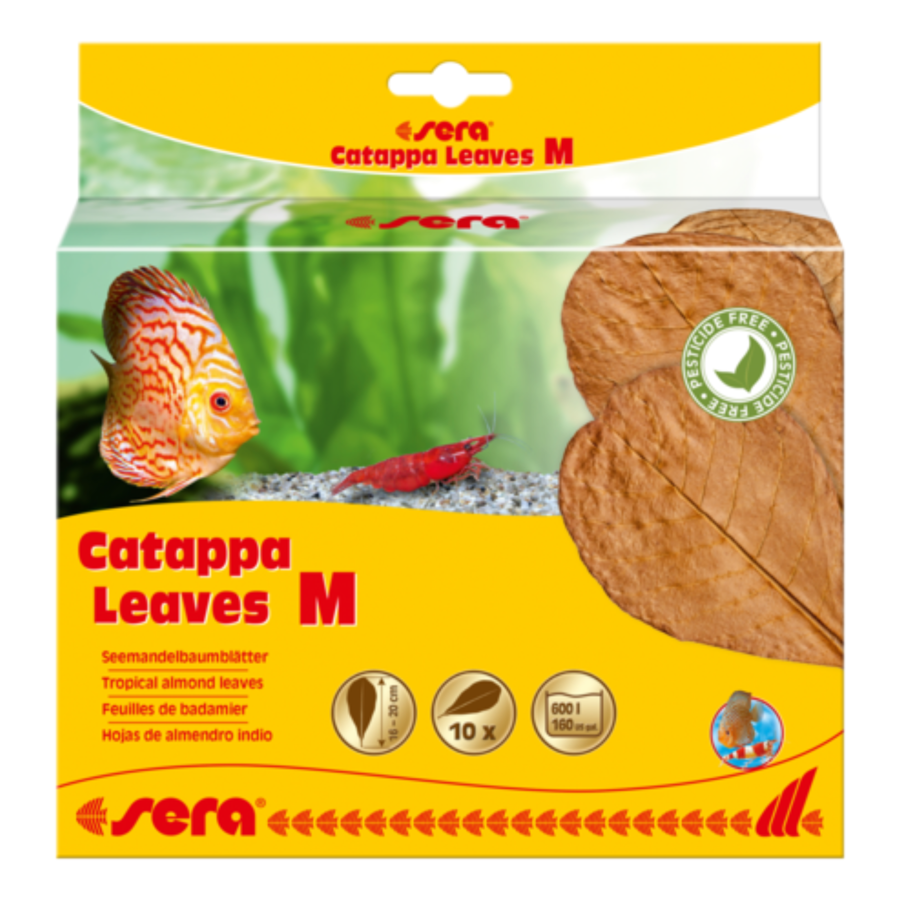 SERA CATAPPA LEAVES