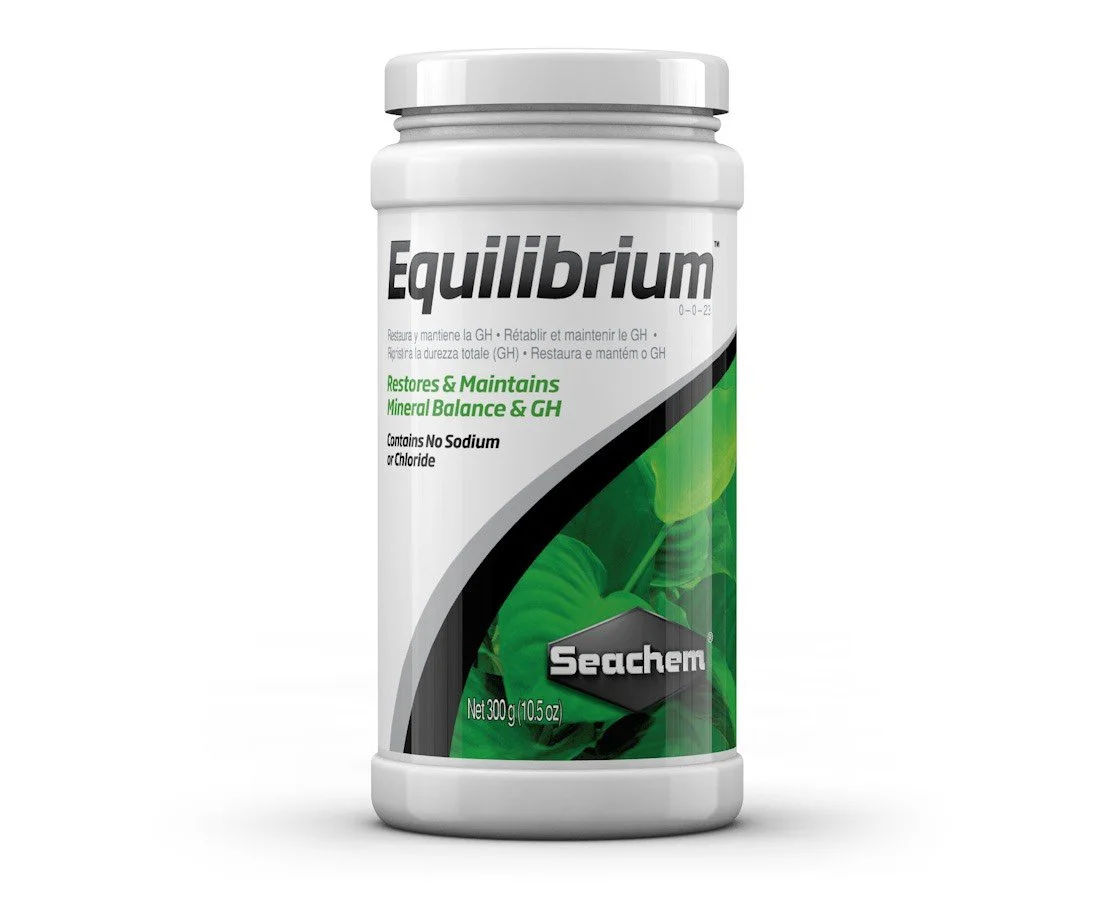 equilibrium (1).jpg