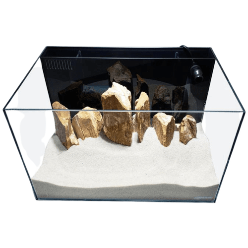 4.4 GALLON LIFEGUARD AQUARIUM