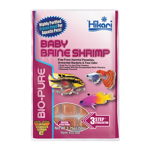 Baby Brine Shrimp.png
