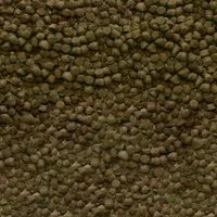 csm_sera_Shrimps_Nature_Detail_ecd9d56410.jpg