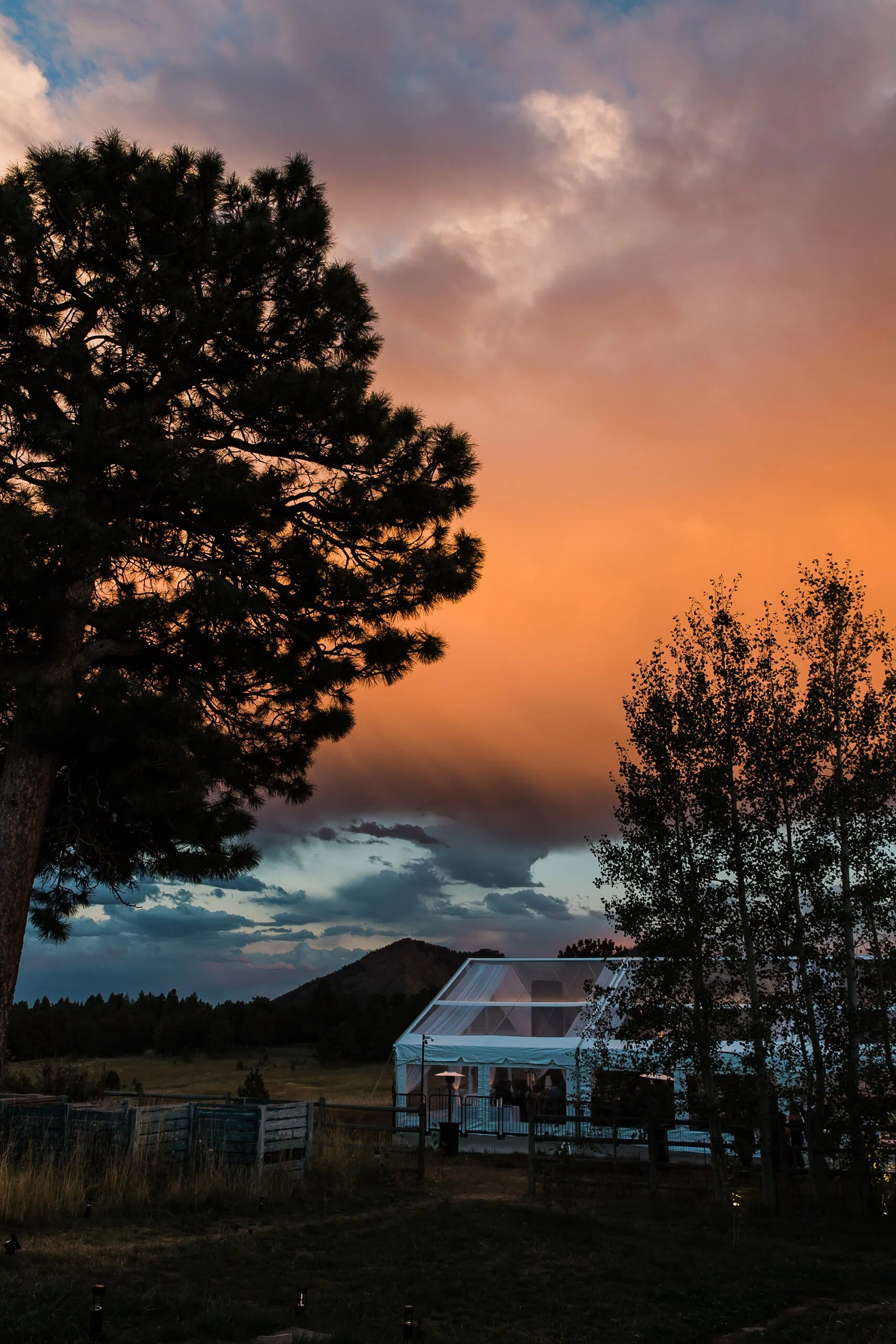 z A+B Wedding 2022-691.jpeg