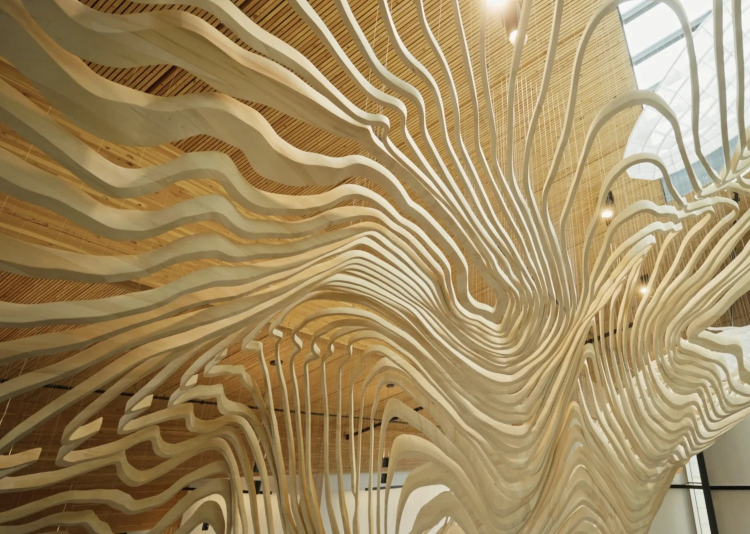 JUNIPER / Central Library Branch, Bend, OR — John Grade Studio