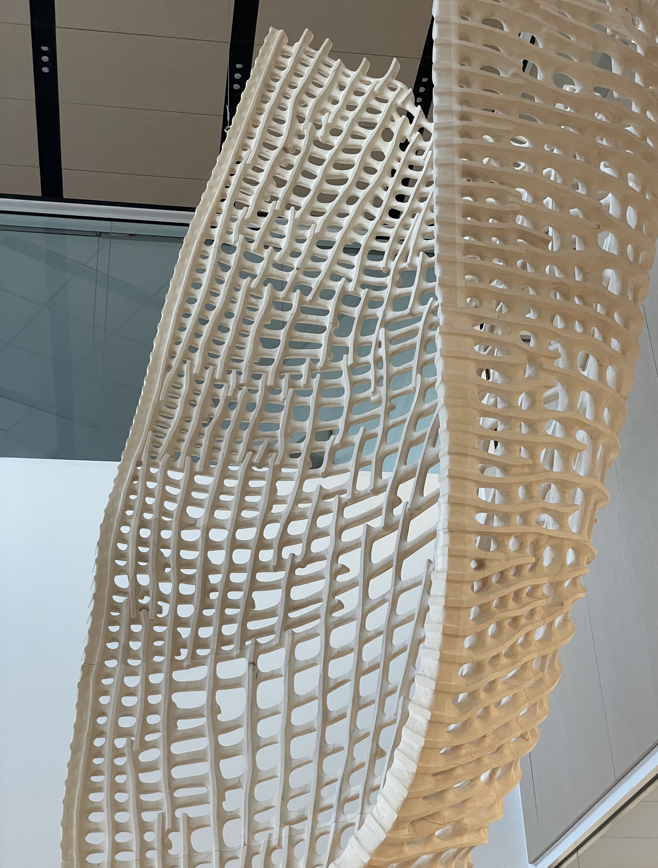 BLUESTEM / Orthopedic and Sports Medicine Hospital, Iowa City, IA