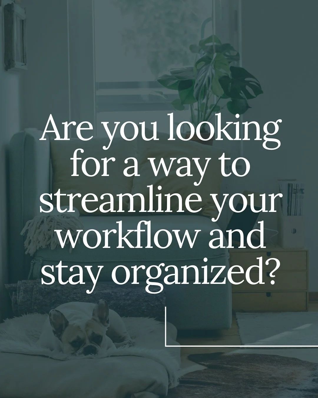 Is managing your client information feeling overwhelming? Are you searching for a way to streamline your workflow and stay better organized? 😵&zwj;💫

✅ Download your *FREE* starter guide to get up and running with @dubsado&mdash;perfect if you&rsqu