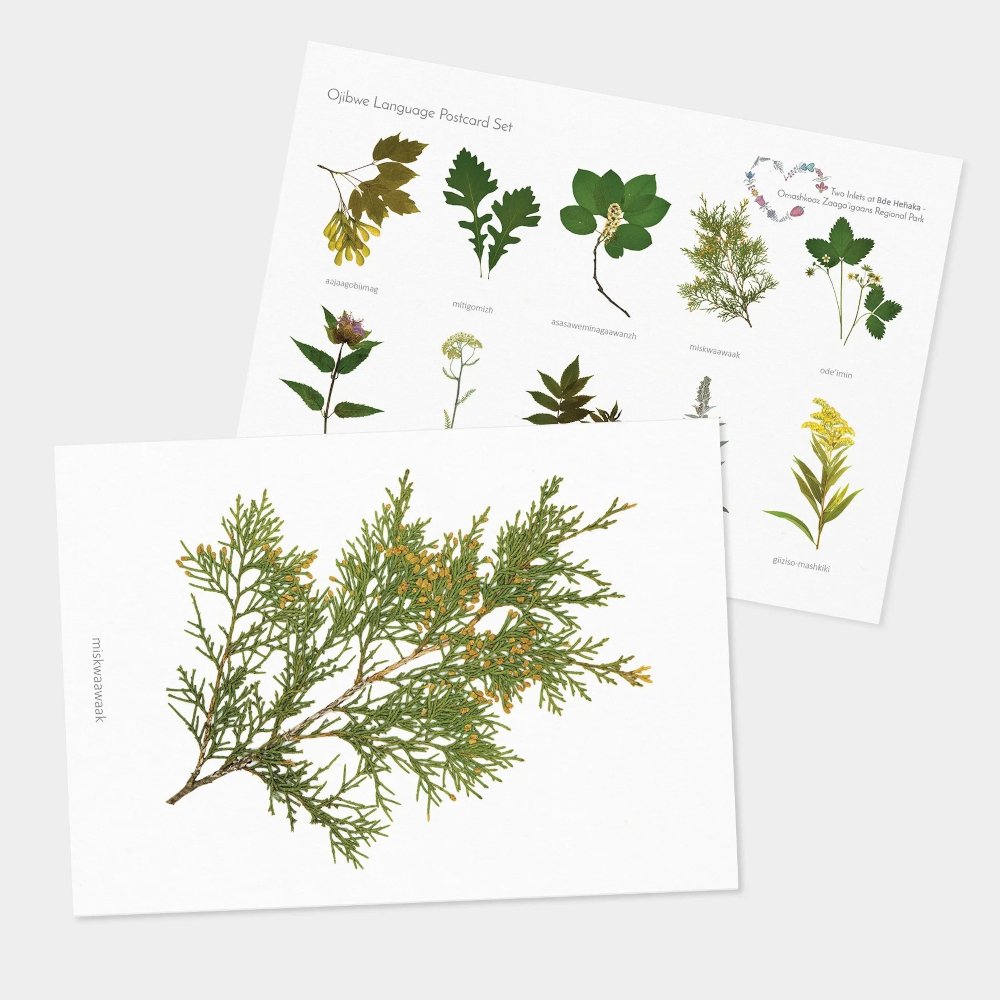 heart land postcard collage square.jpg