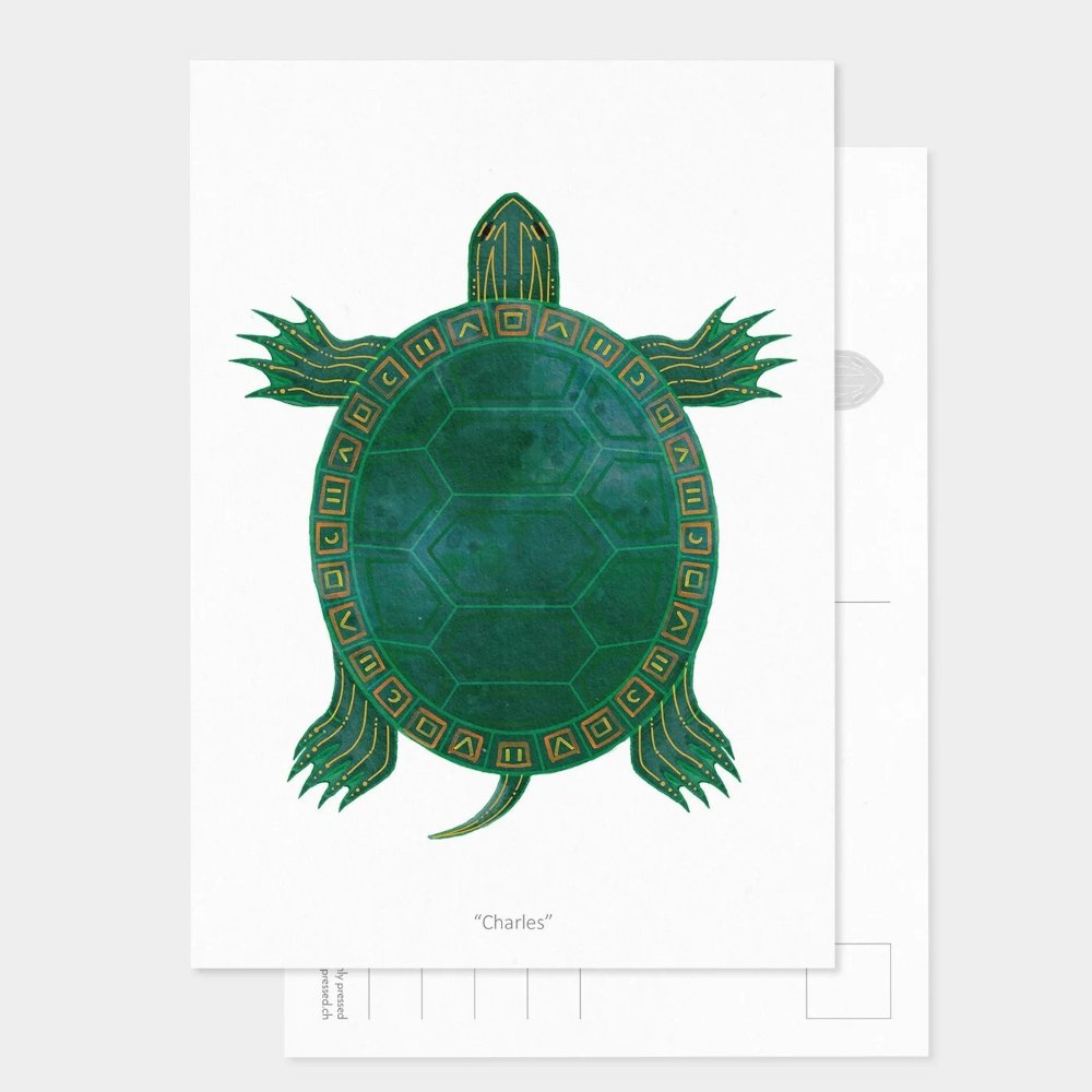 heart land postcard turtle square.jpg