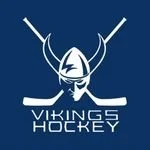 Vikings’ Stats Leaders Through Six Games