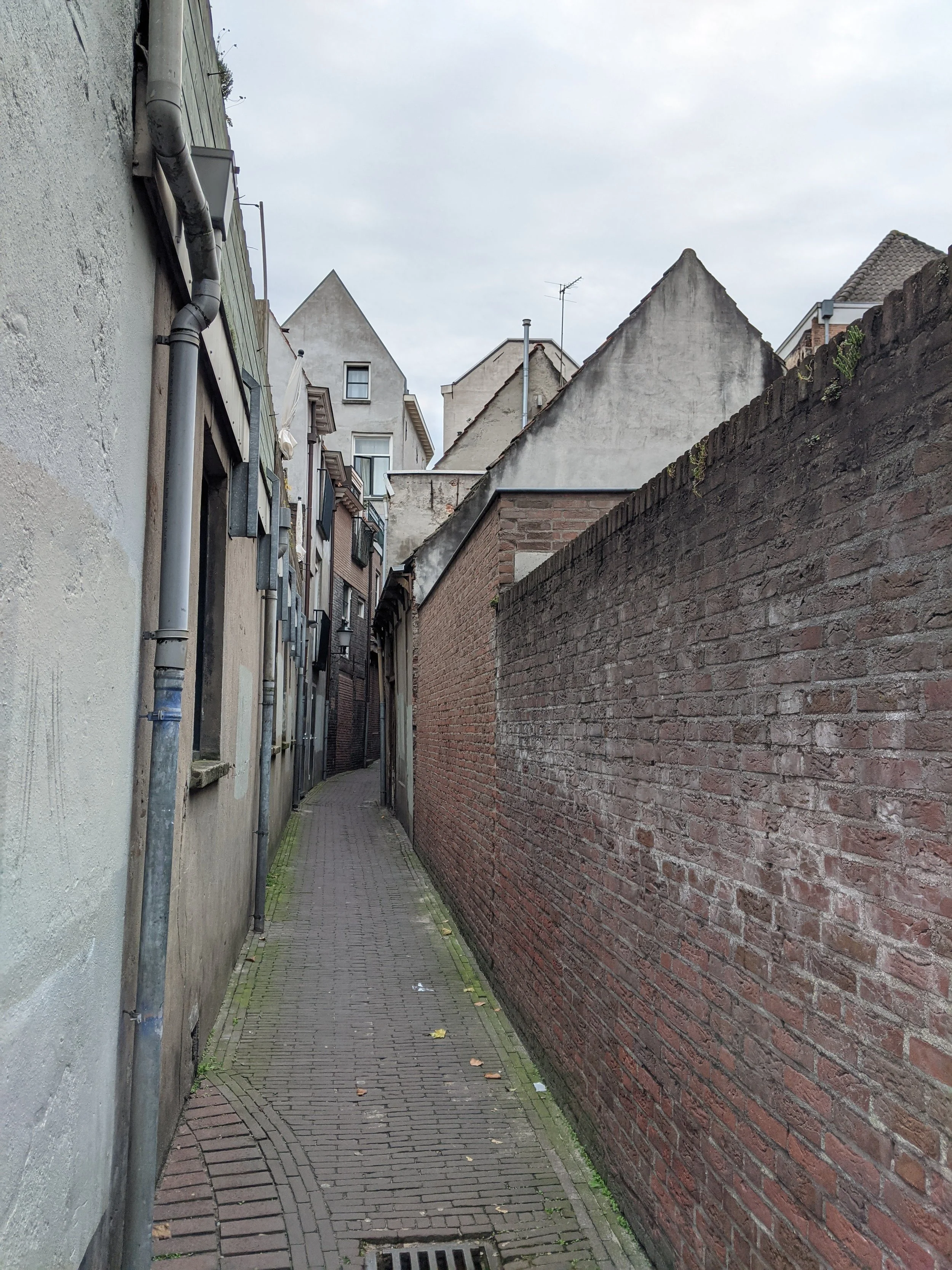 A beautifully sneaky alley for one.jpg