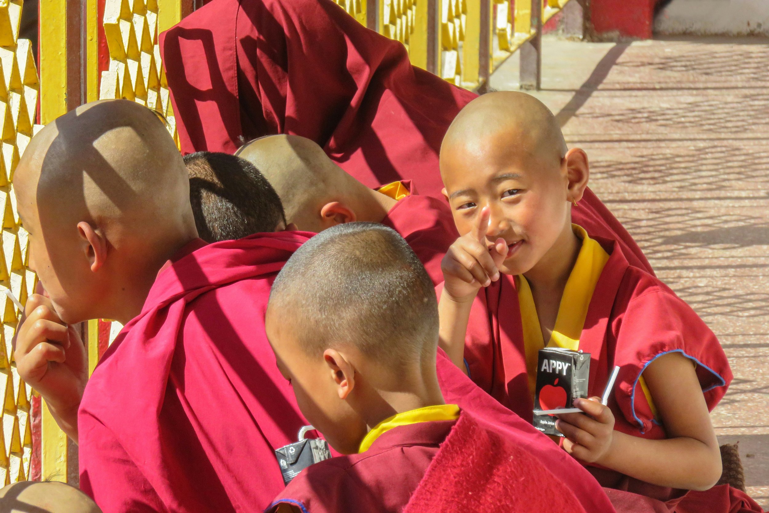 The Psychology of The Beginner’s Mindset and a window into Human Nature