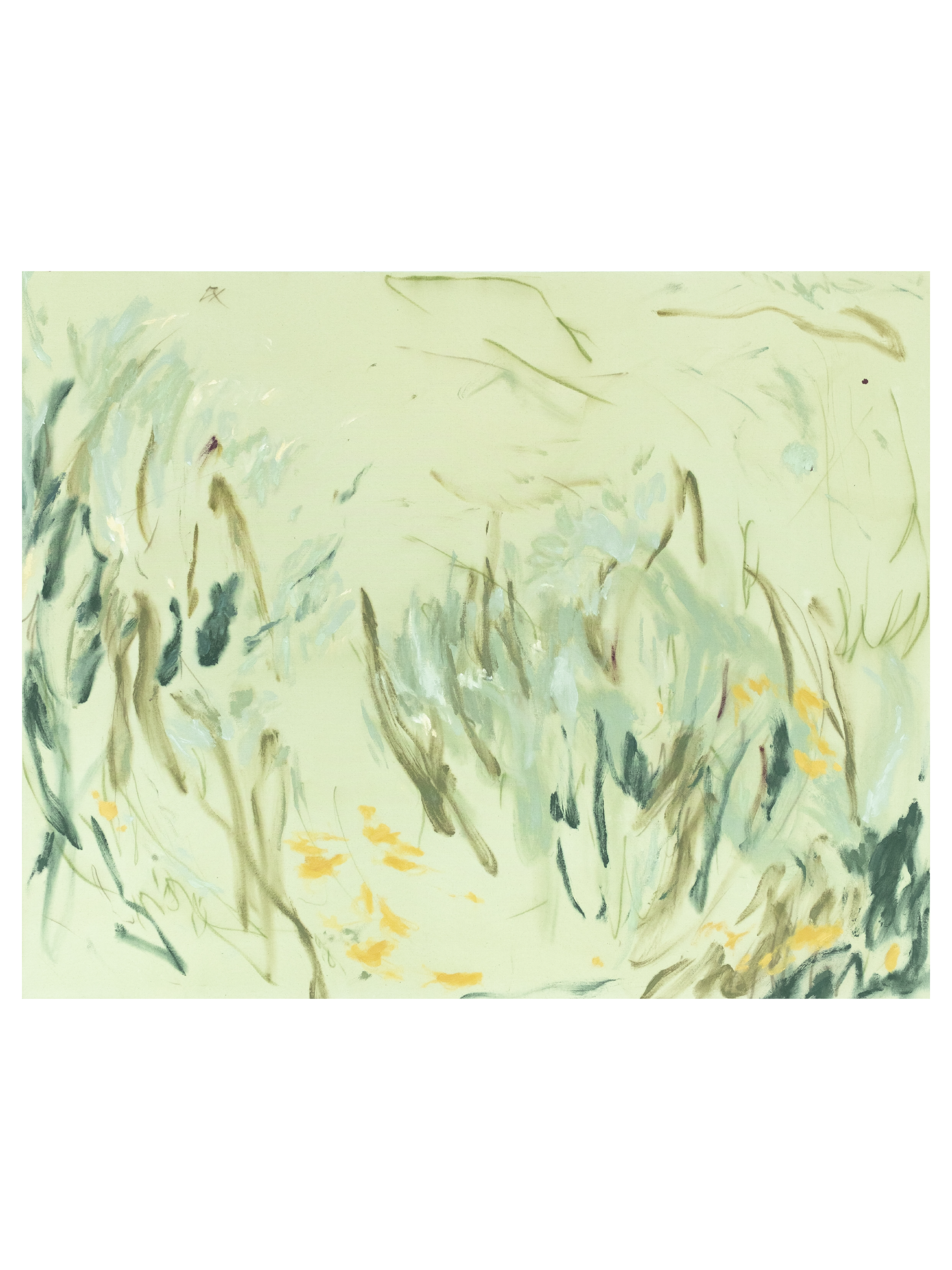 Rolling Fields
