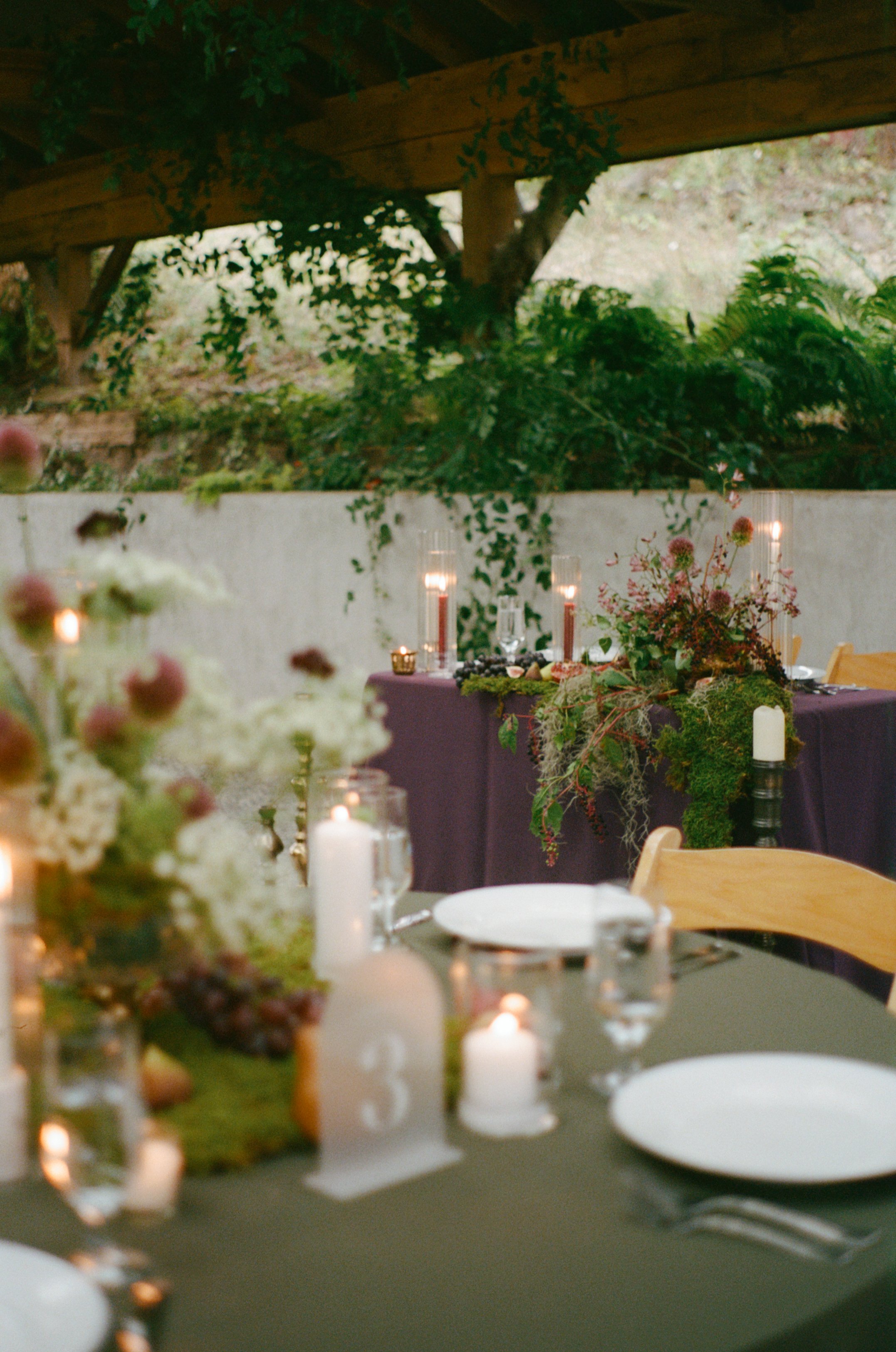 wedding reception on film