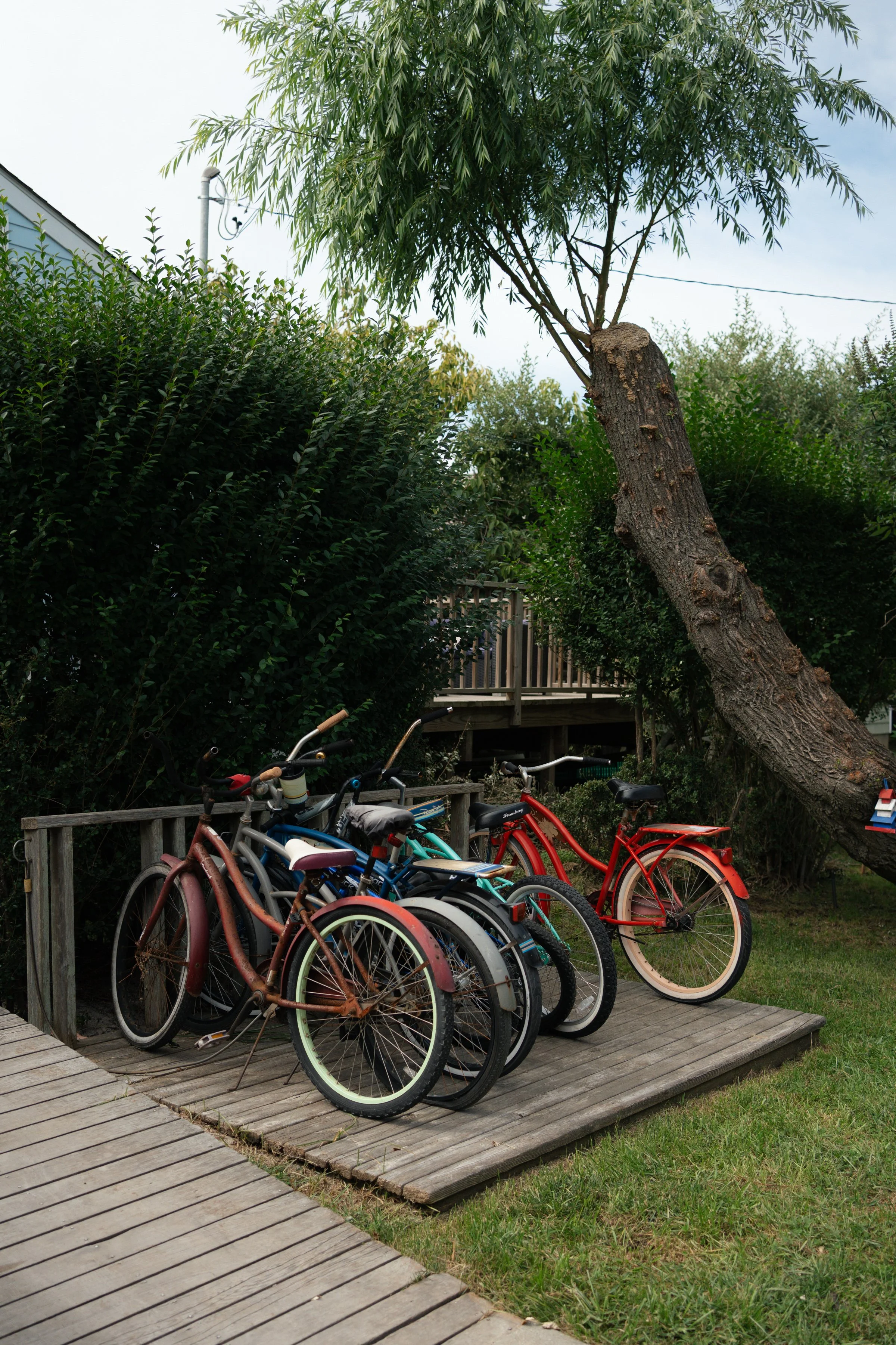 KCP-20260919-CI-P-1.jpg