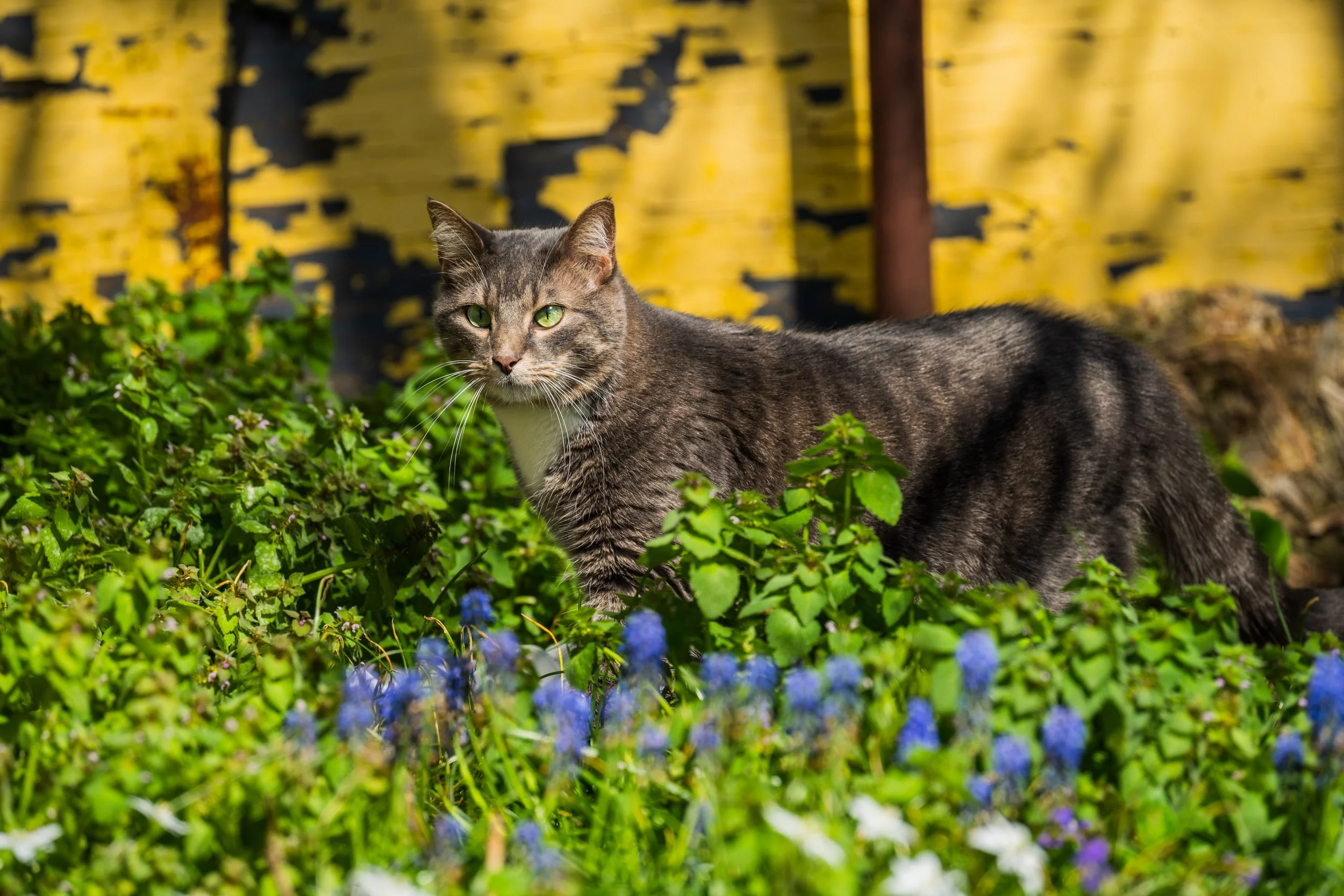 DSC07959.jpg