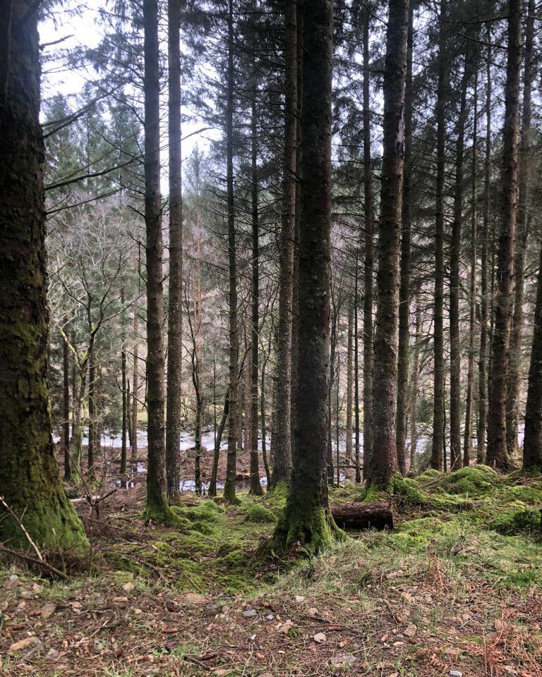 Looking for a place to relax and enjoy the natural beauty of Snowdonia? Look no further than our Dolgellau holiday home! Located in the heart of Dolgellau, just a short walk from all the town's amenities. 

Visit local stunning forests like coed-y-br