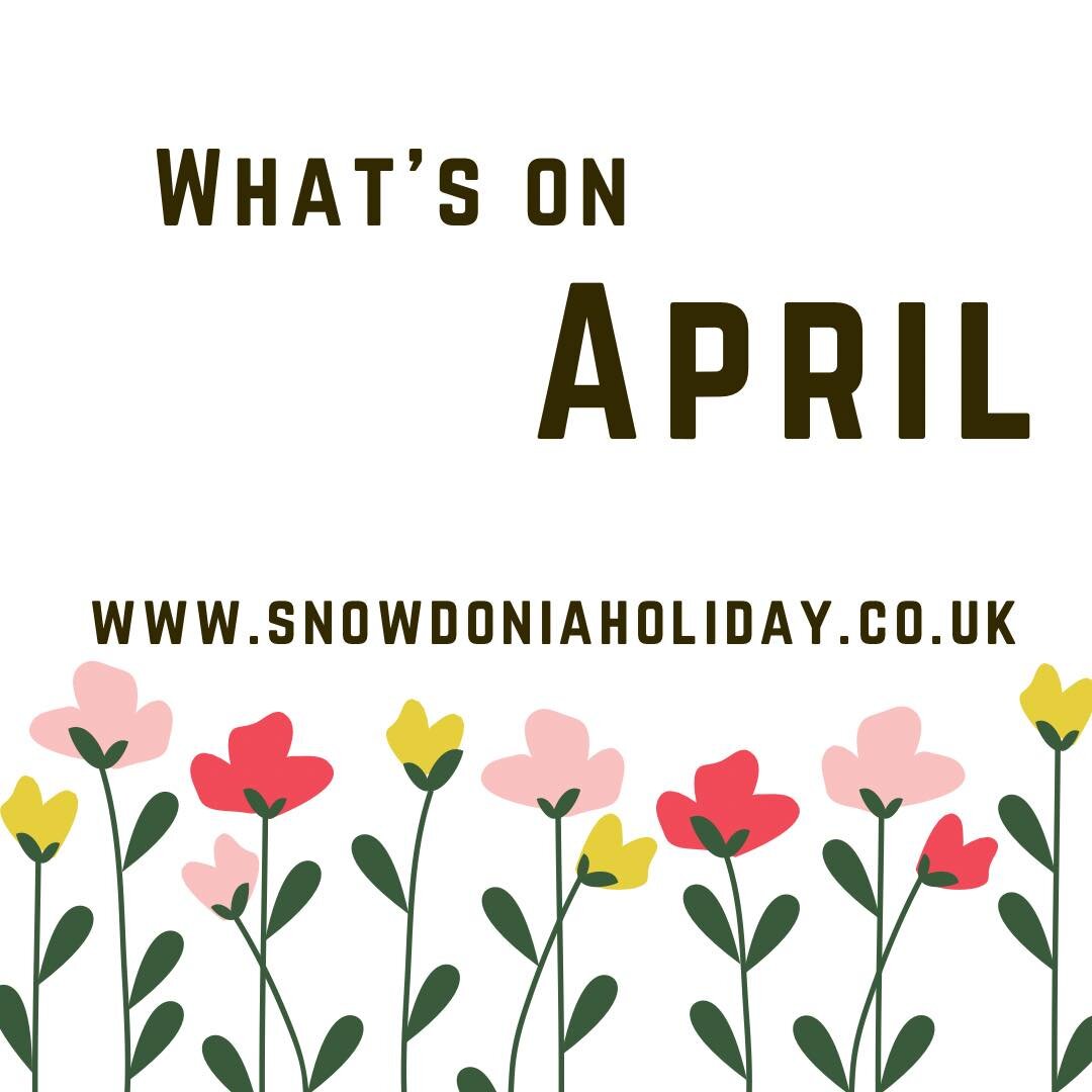 Egg-citing news! 🐣🌷 Spring has arrived in Dolgellau and our holiday home is the perfect place to celebrate! 

Over April experience Easter egg hunts, scenic walks, and delicious meals at new local restaurants. 

Book direct now for the best prices 
