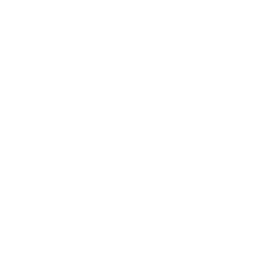 Virtual Intelligence