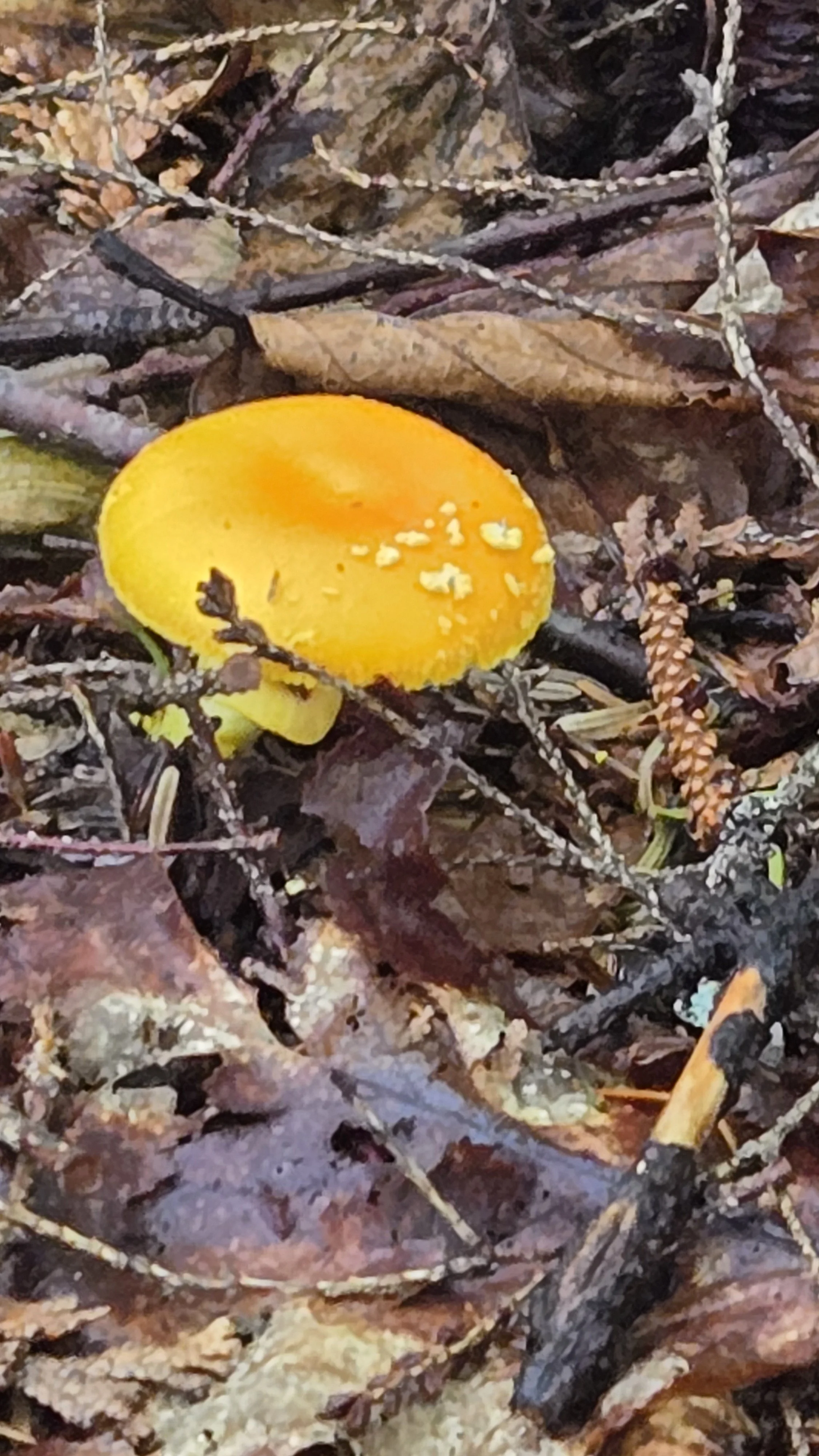 20260728_152039.jpg