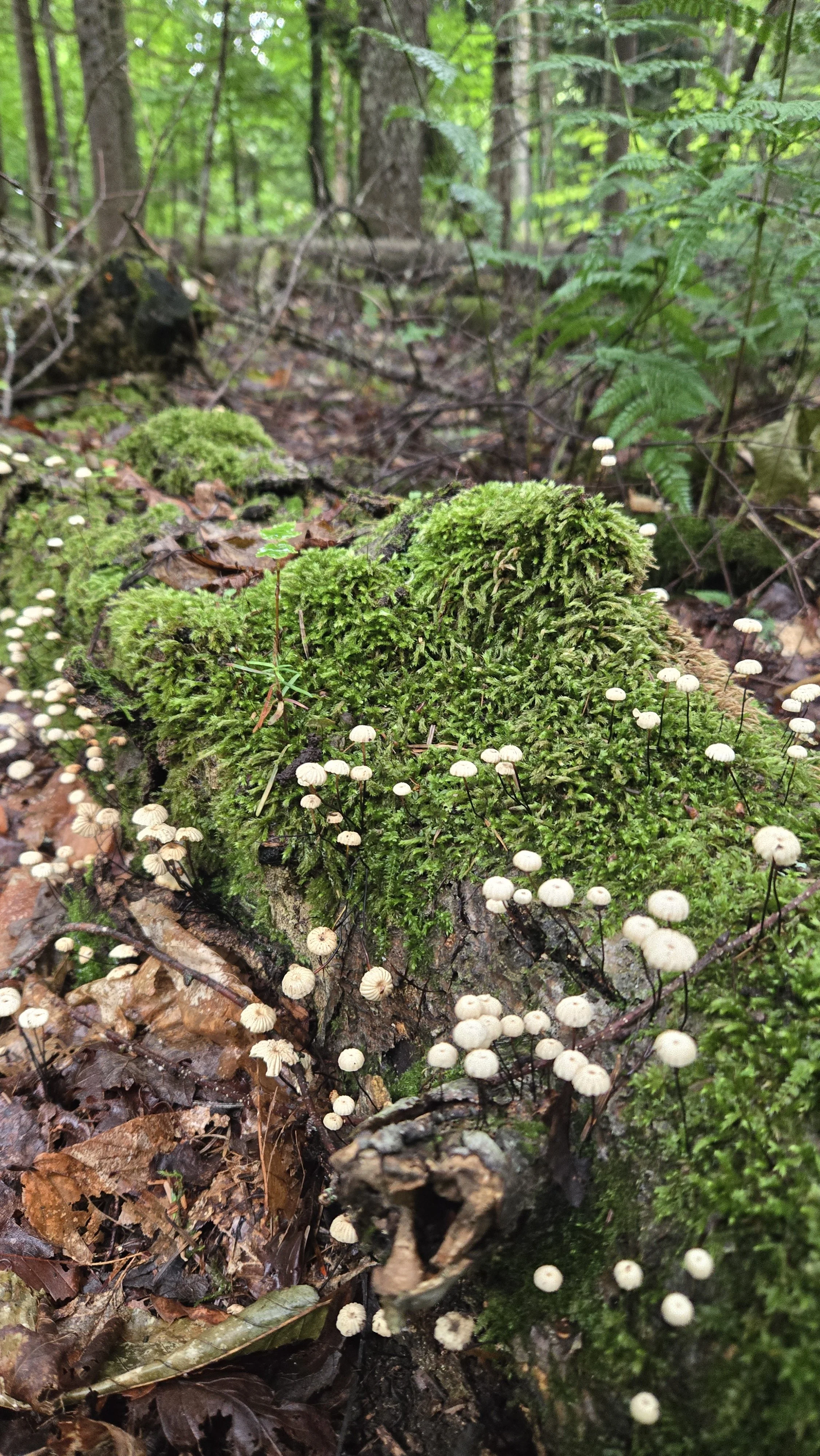 20260728_155836.jpg