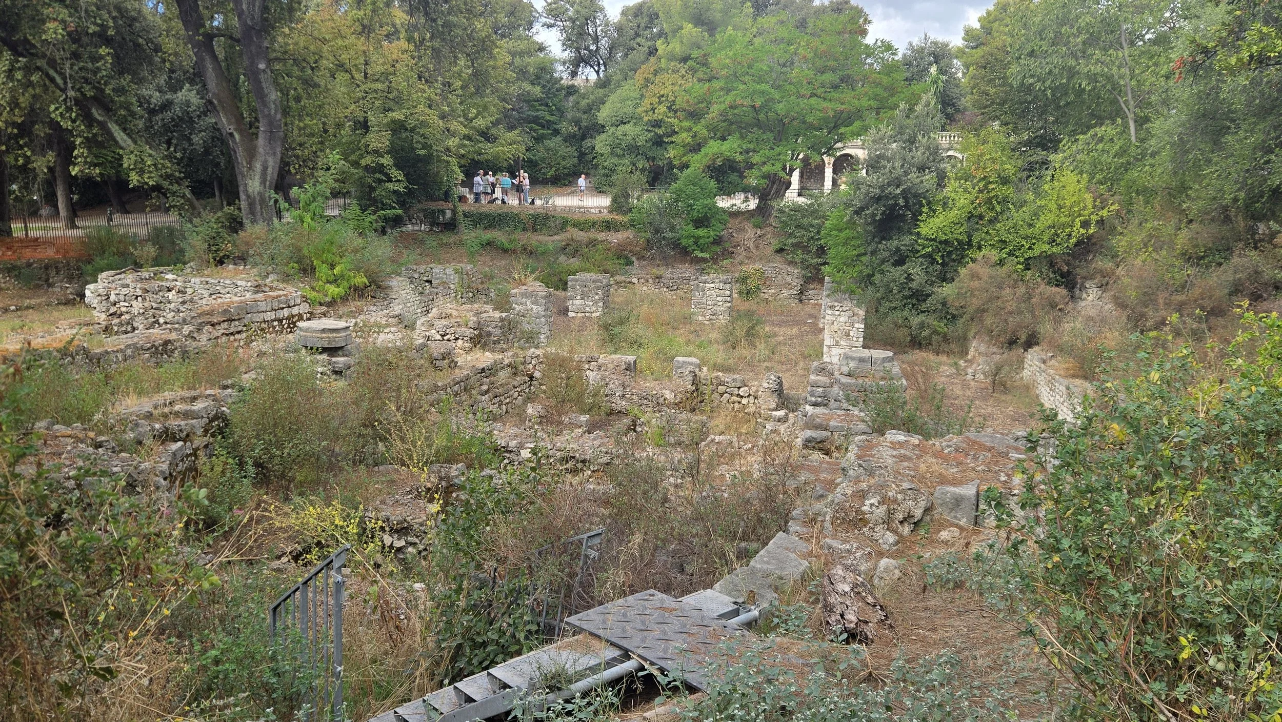 20260910_105342.jpg