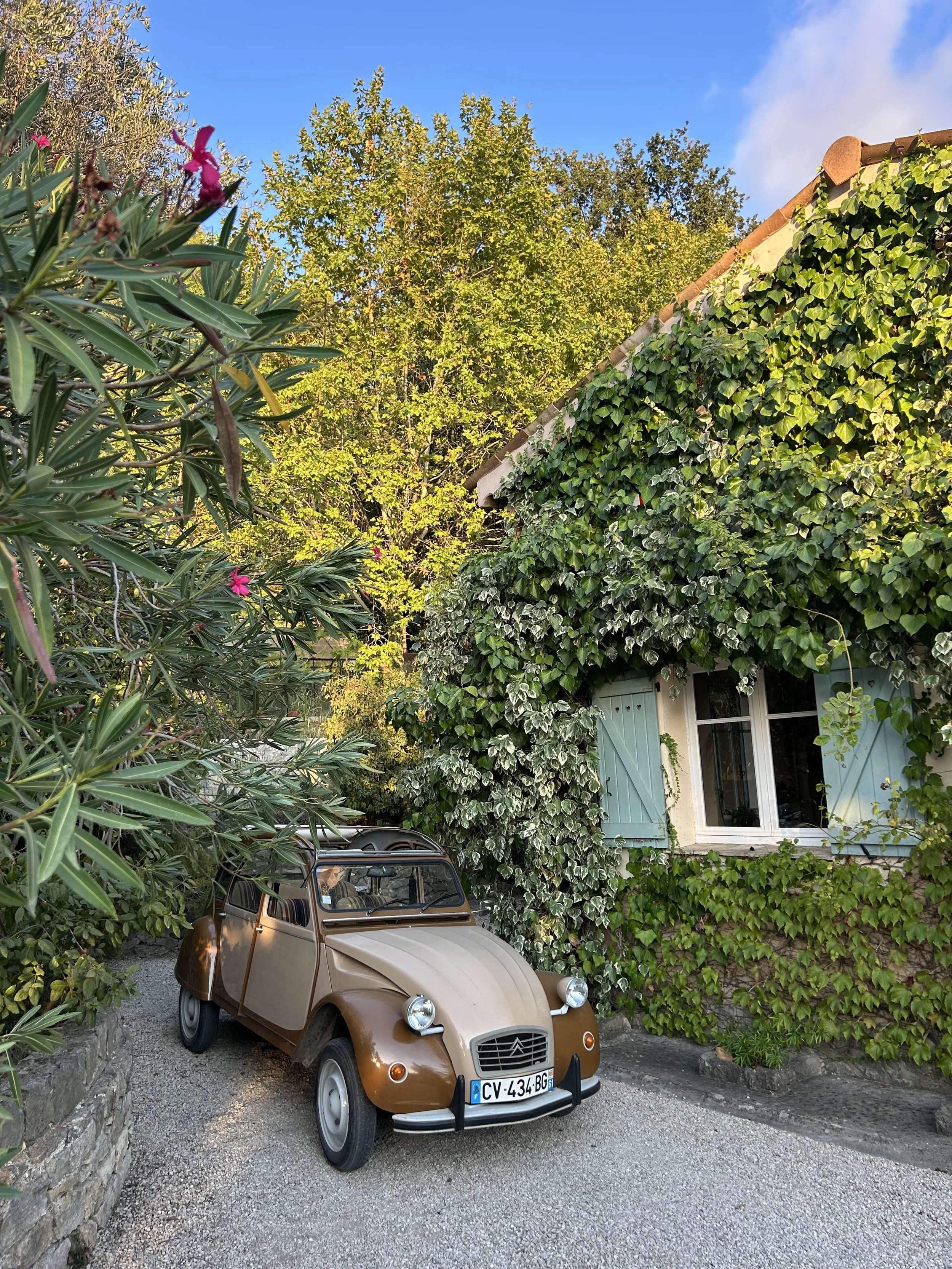 IMG_8951.jpg