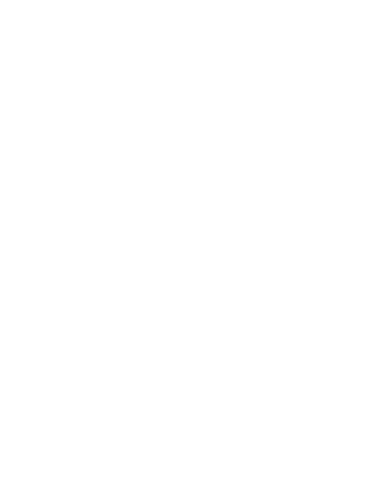 martino zattarin