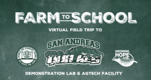 Weeks 5 & 6: Virtual Field Trip