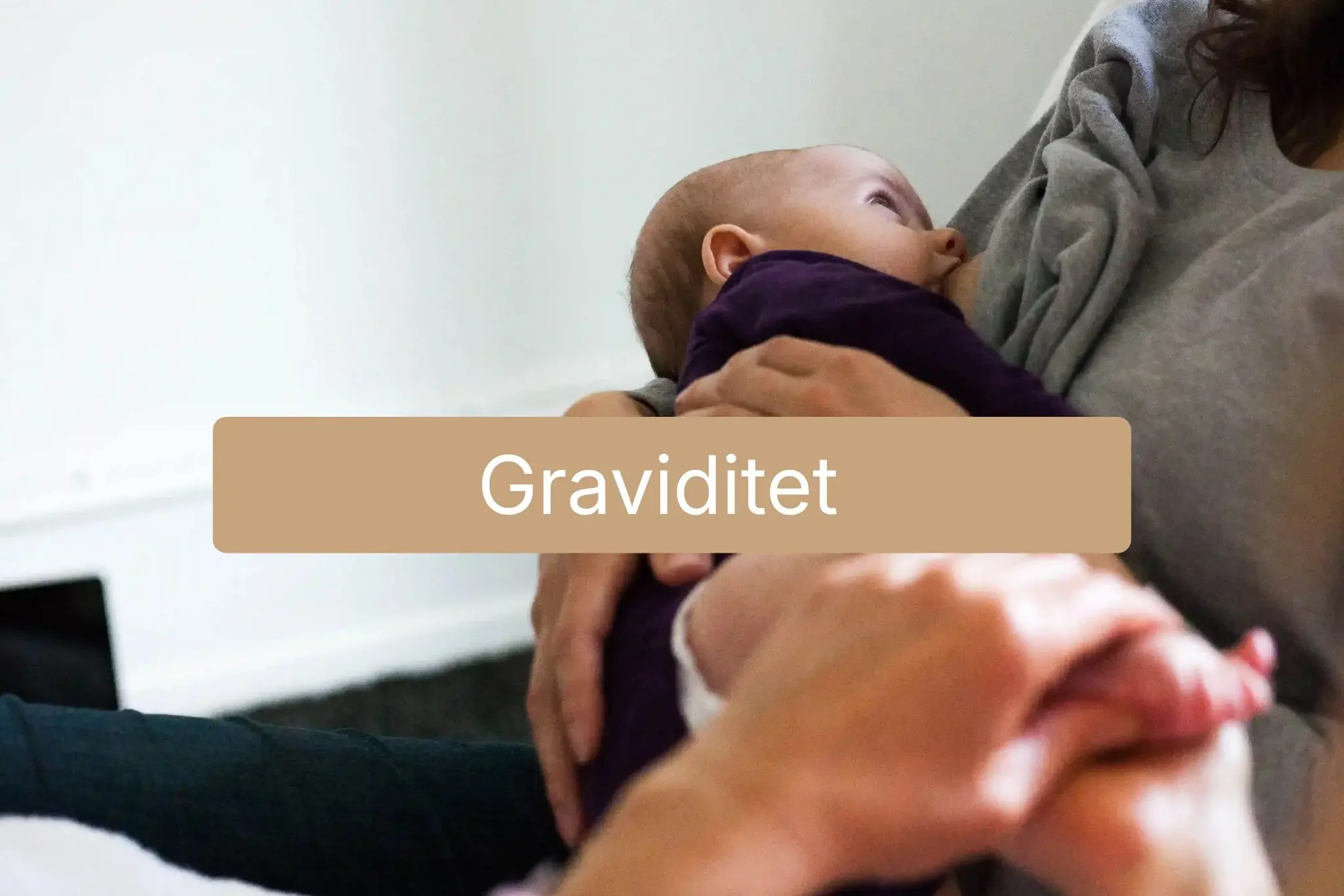 graviditet.webp