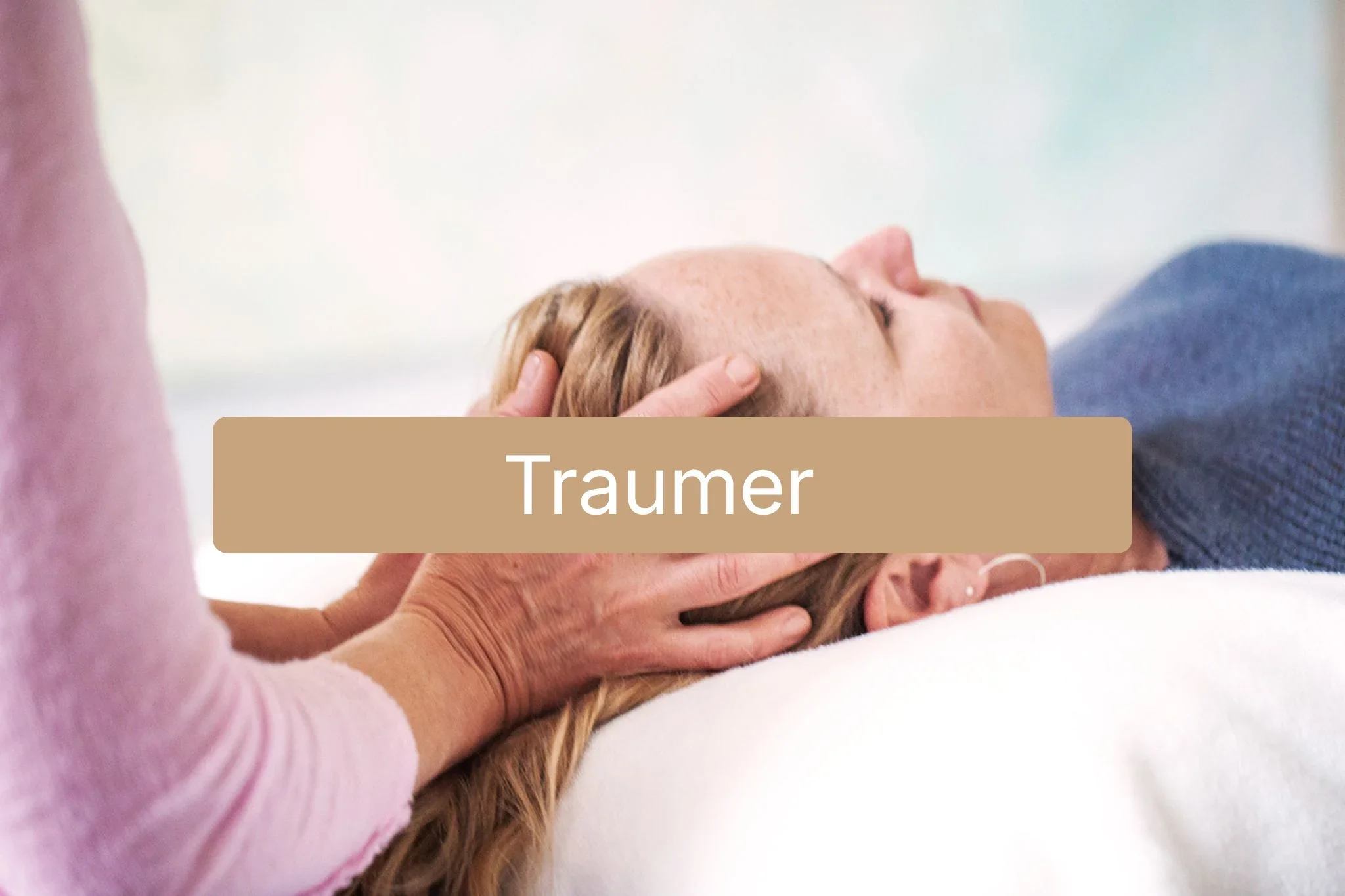 Traumer.webp