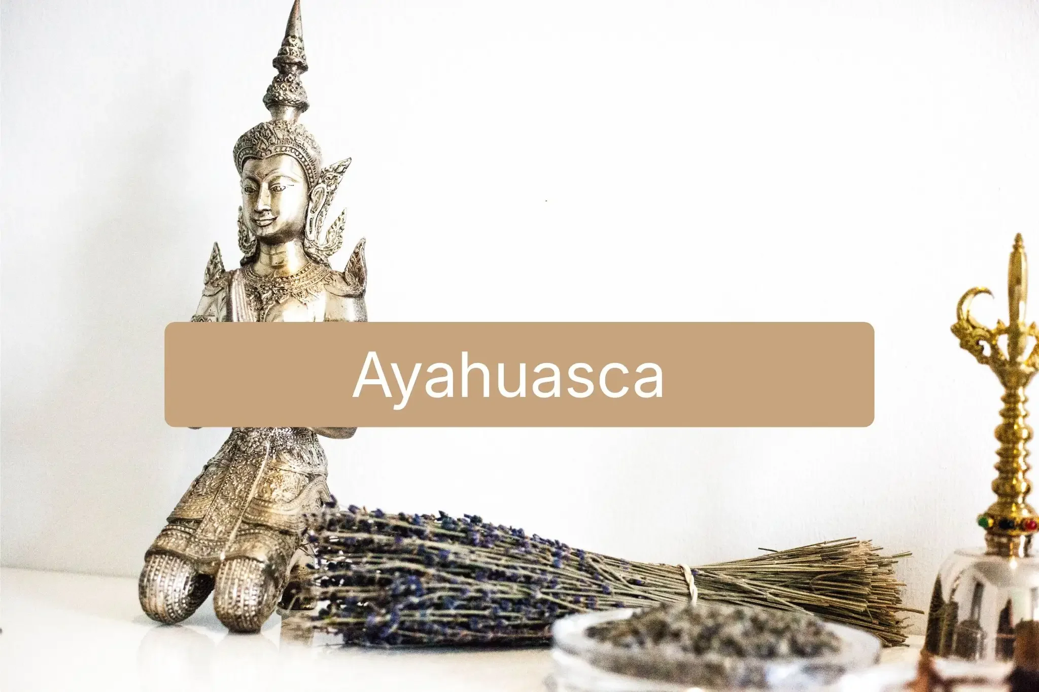 Ayahuascha
