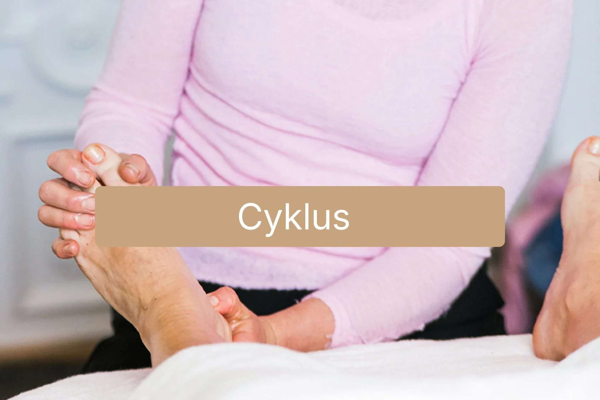cyklus.webp
