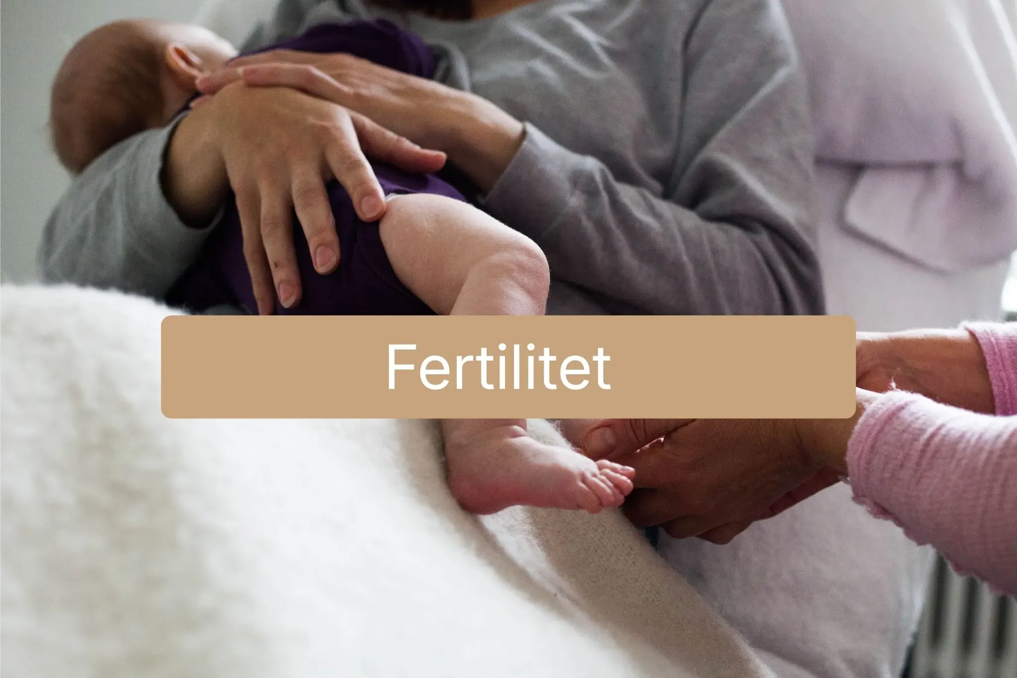 fertilitet.webp