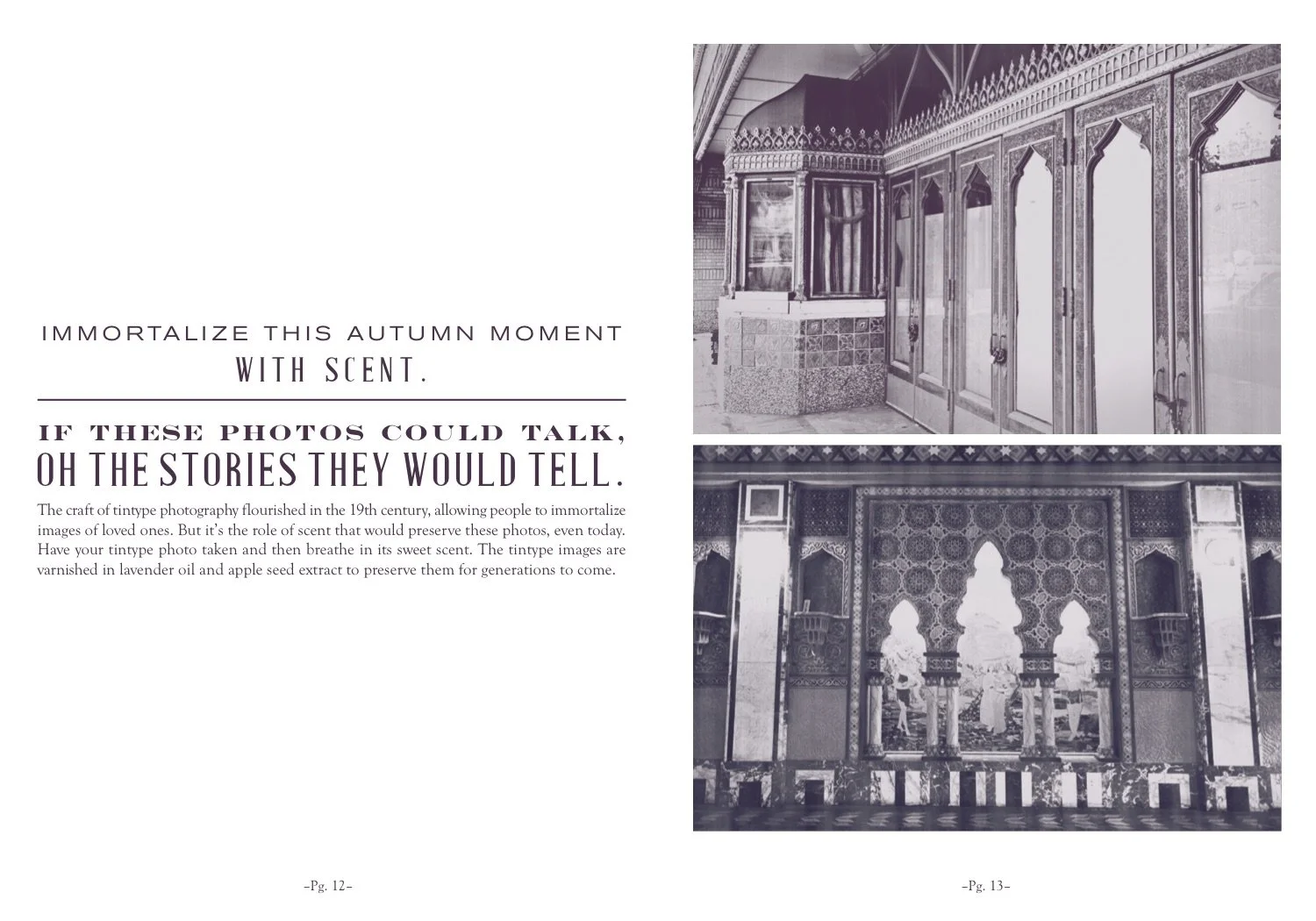 AutumnPlaybill_6.1_LowResFinalp8.jpg