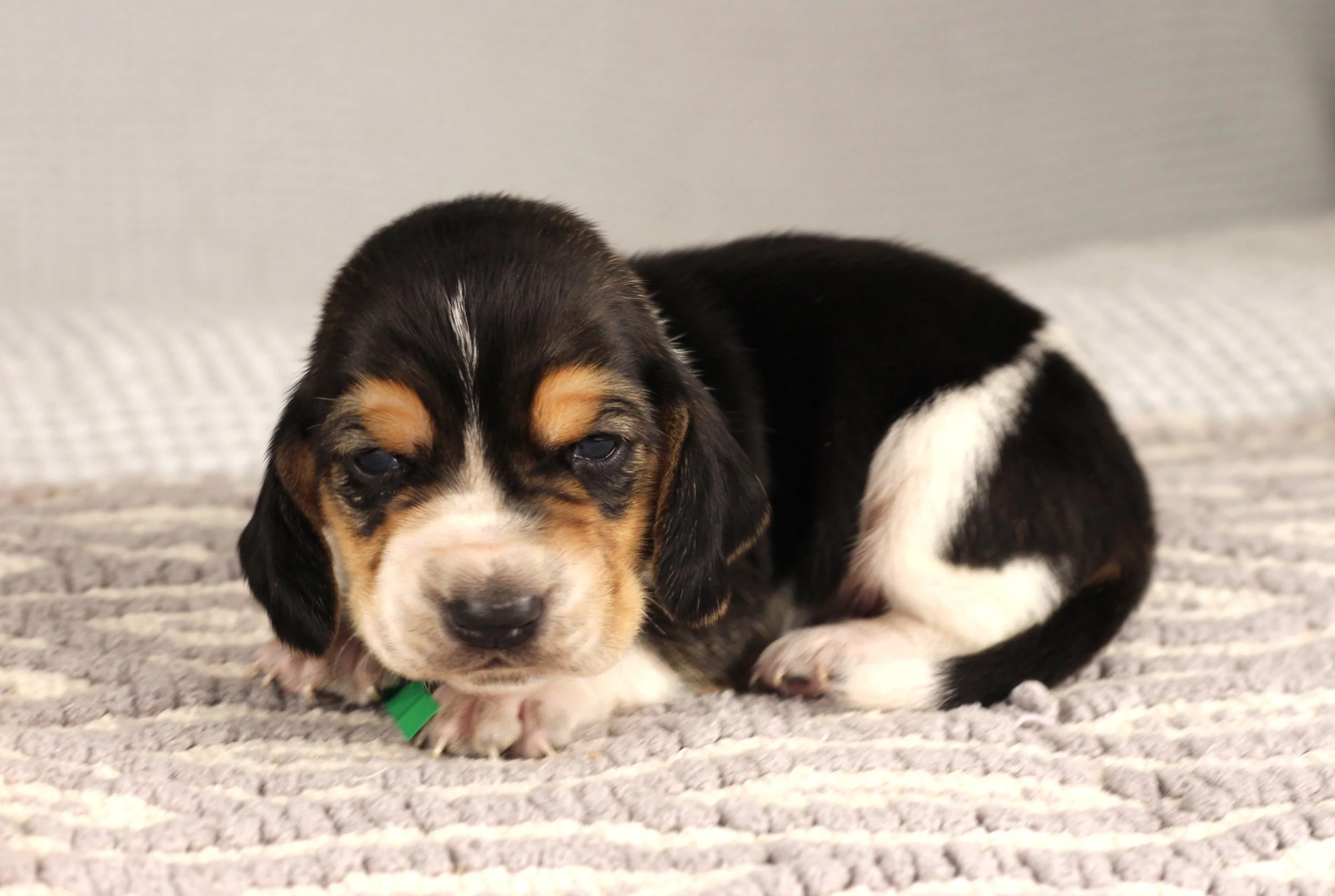 IMG_7908aaa.JPG