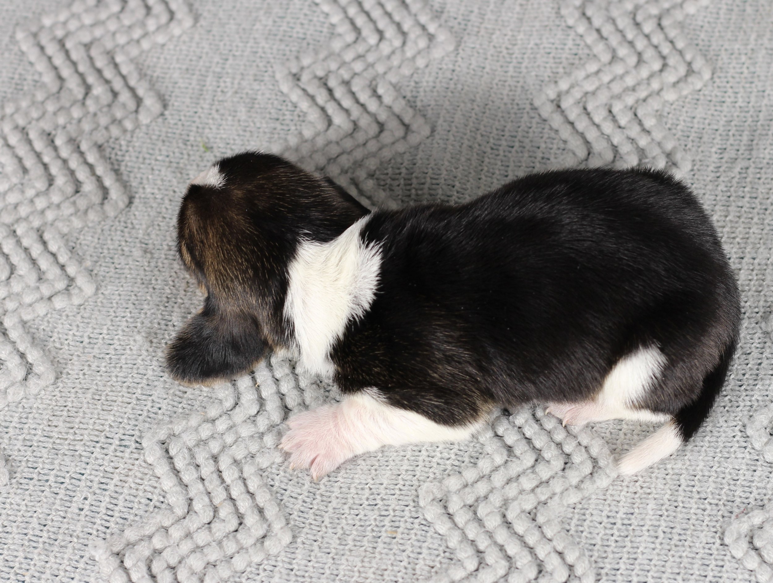 IMG_7564aaa.JPG