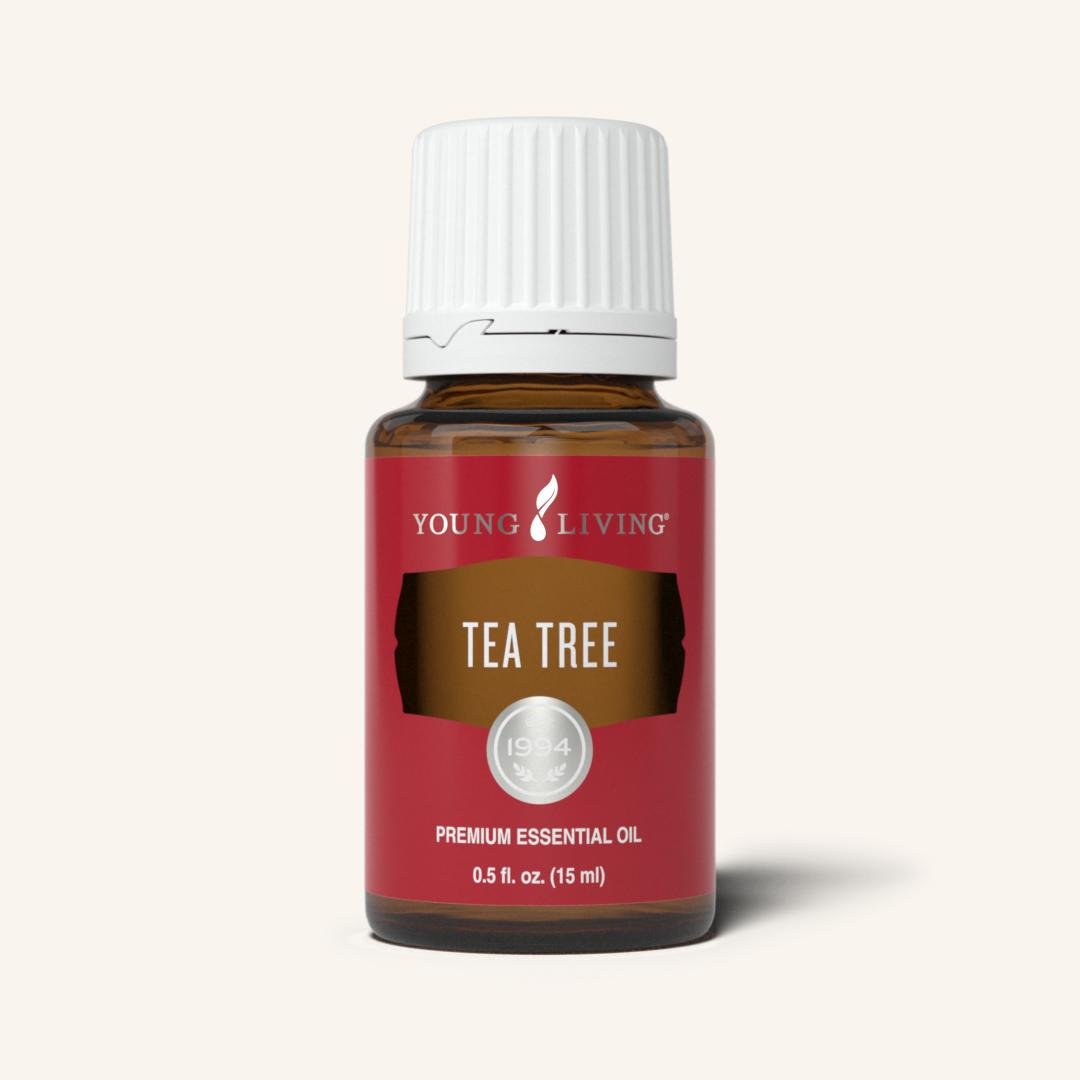 Young Living Tea Tree Melaleuca Essential Oil The Muse KC Kansas City