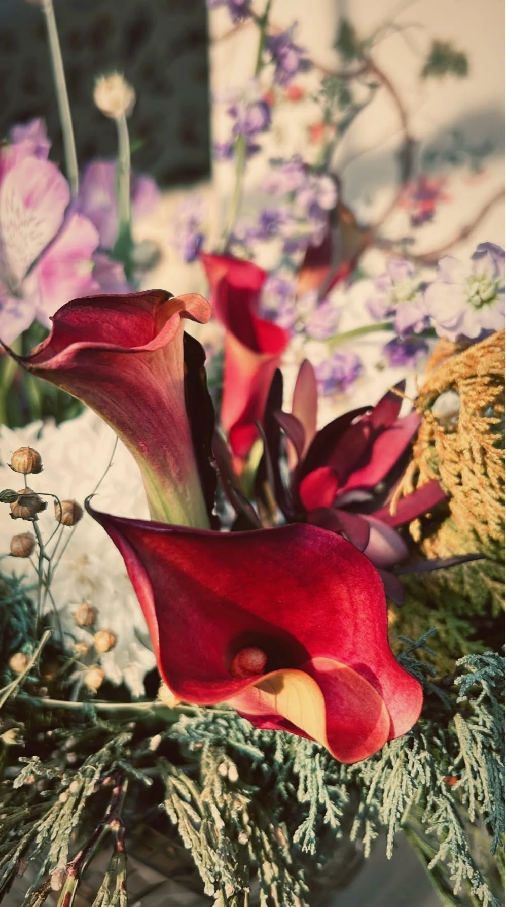 Our Story — Devon Rose Designs