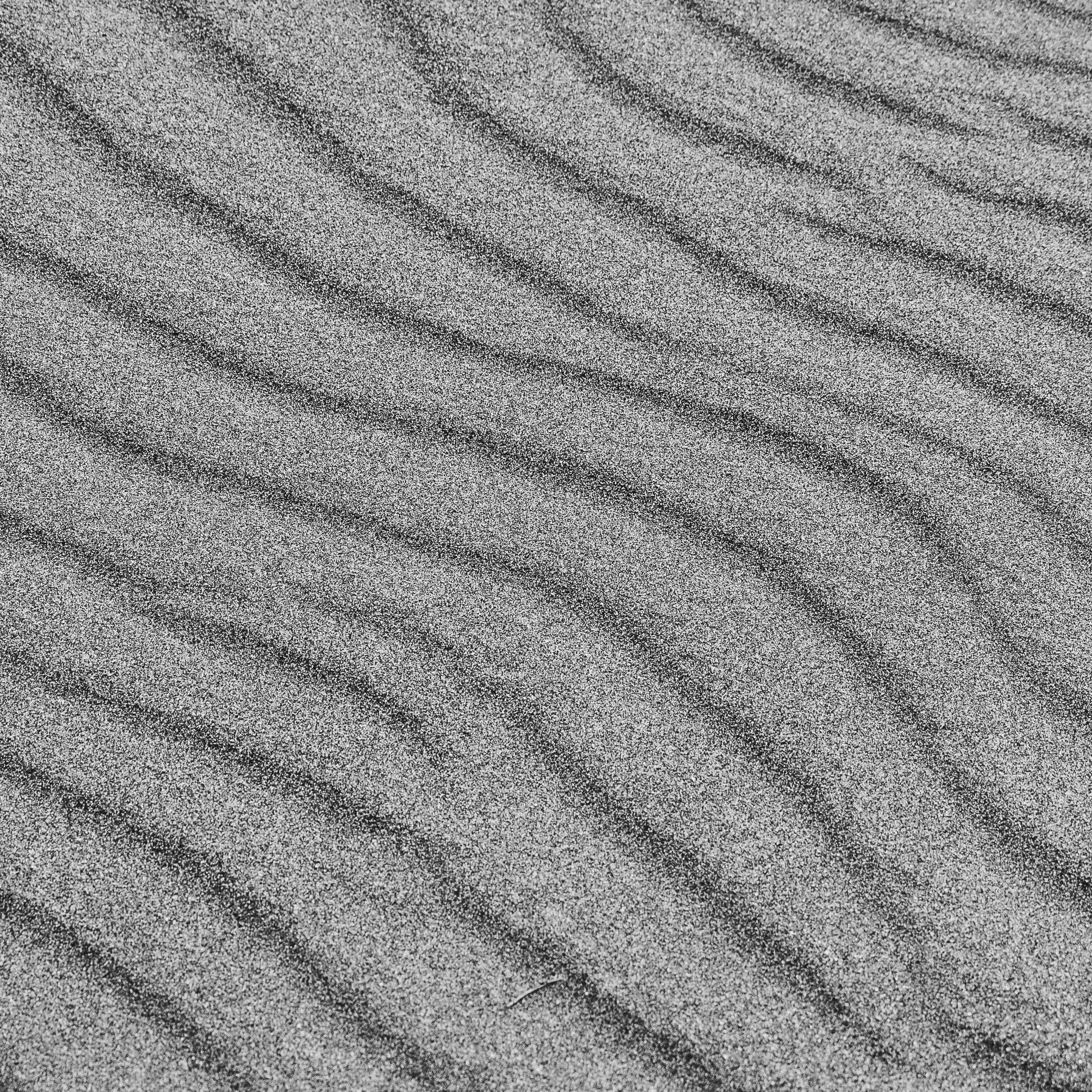 Day Dunes-38.jpg