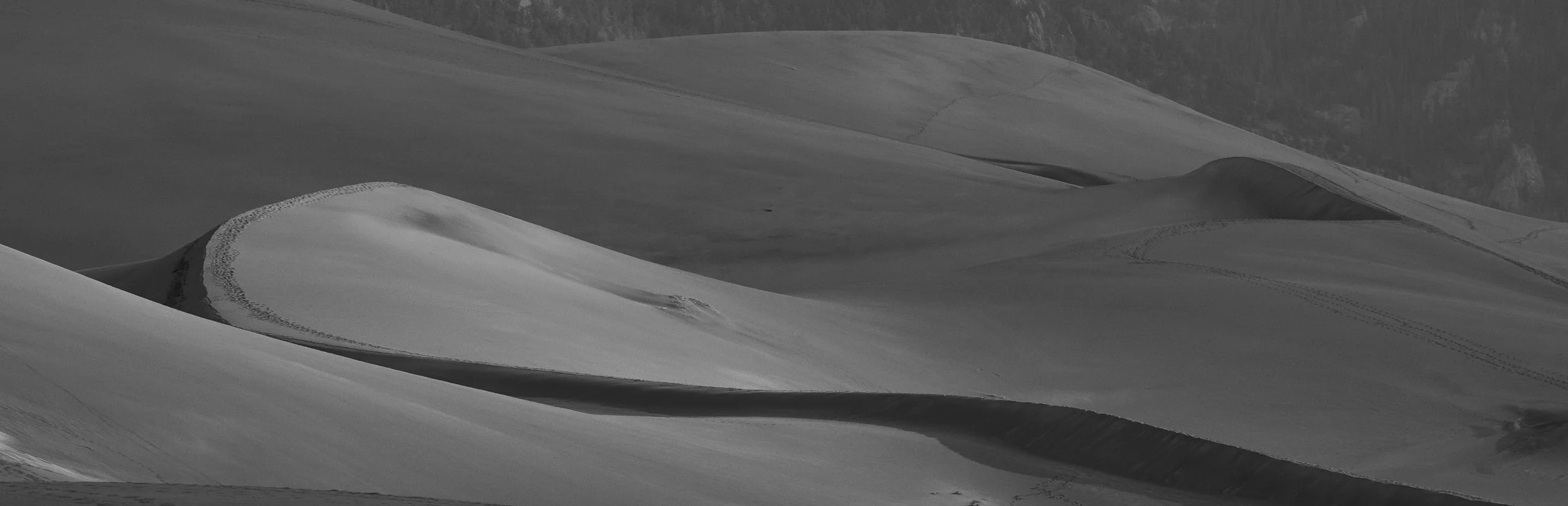 Day Dunes-41.jpg