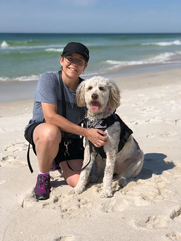 Are dogs allowed on the beach in Walton County?