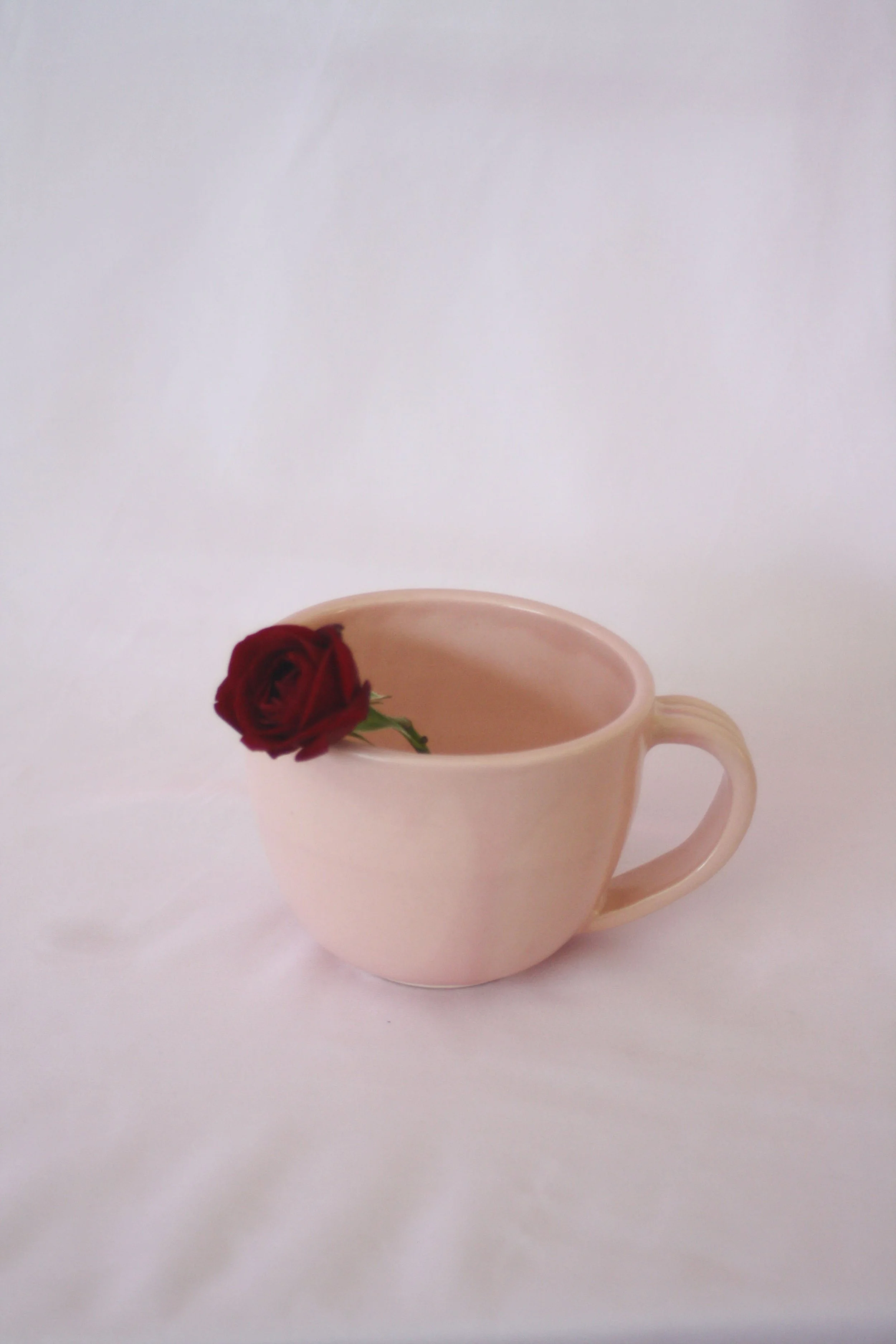 Teacup Mug Seashell Pink