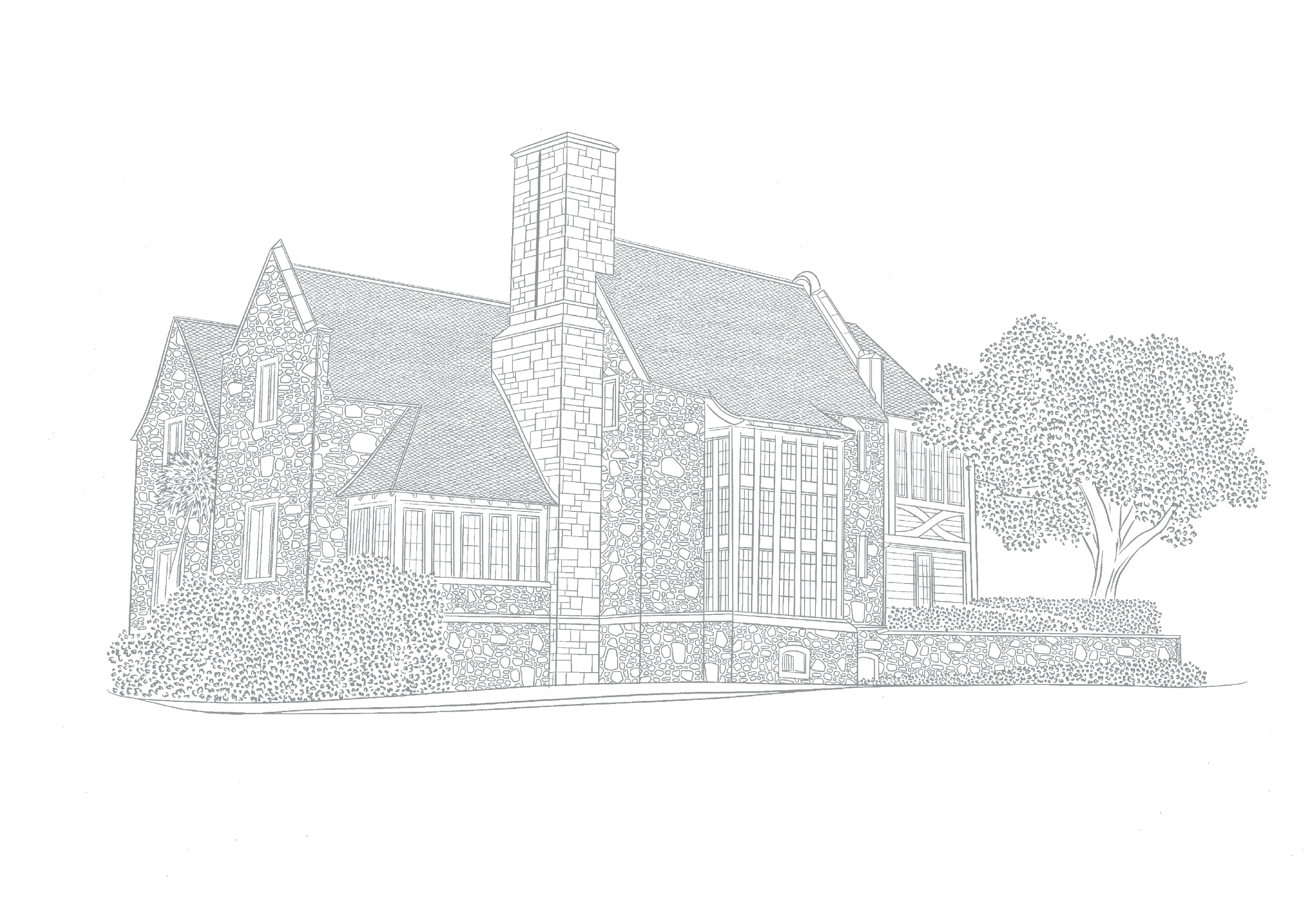 Web Illustrations_-02.png