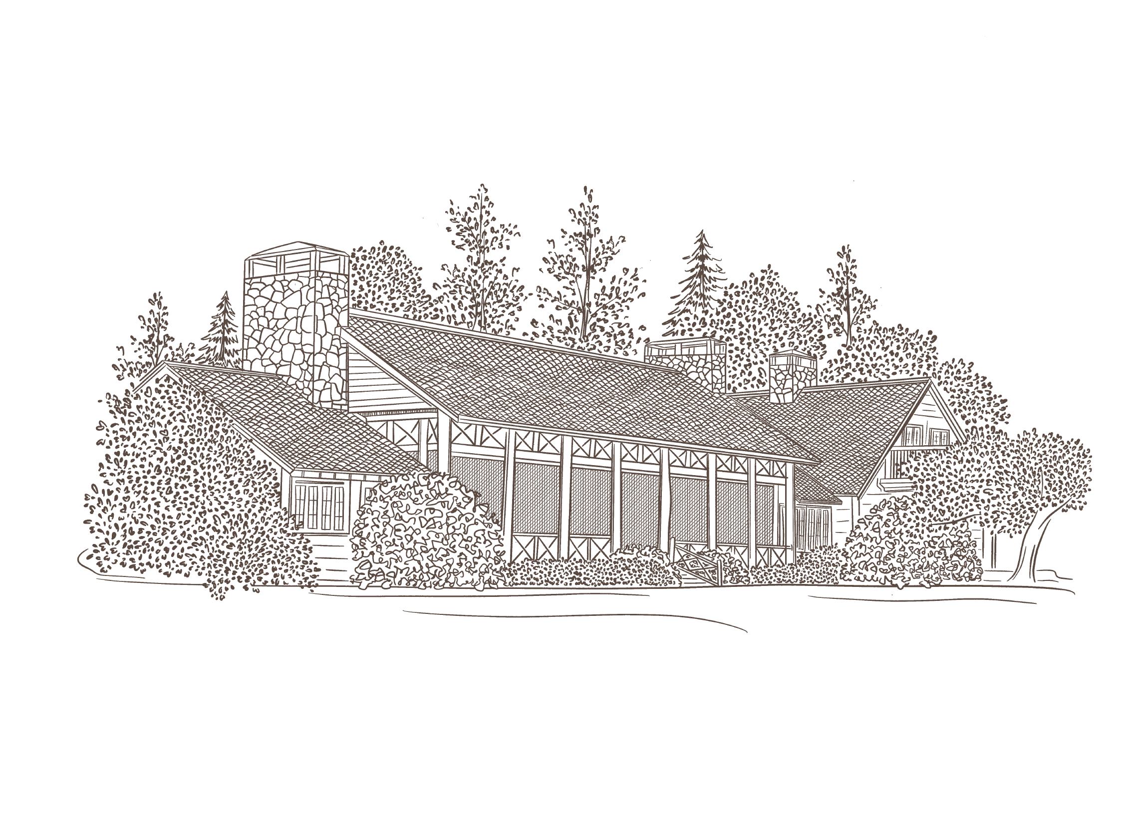 Web Illustrations_-01.png