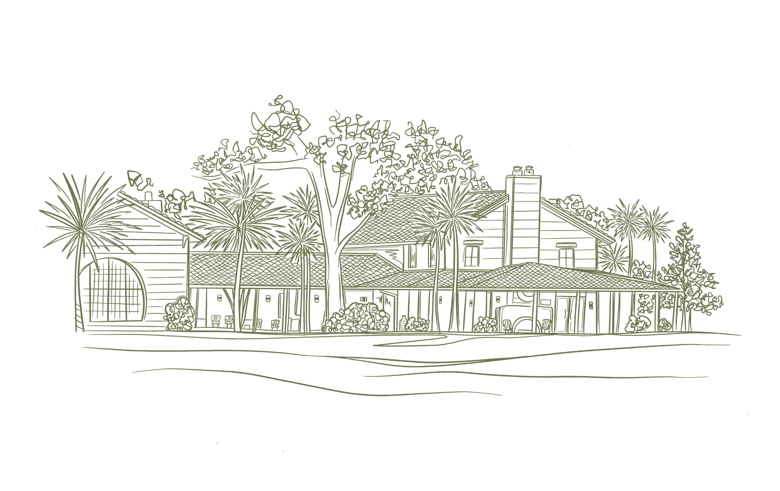 Web Illustrations_-07.png