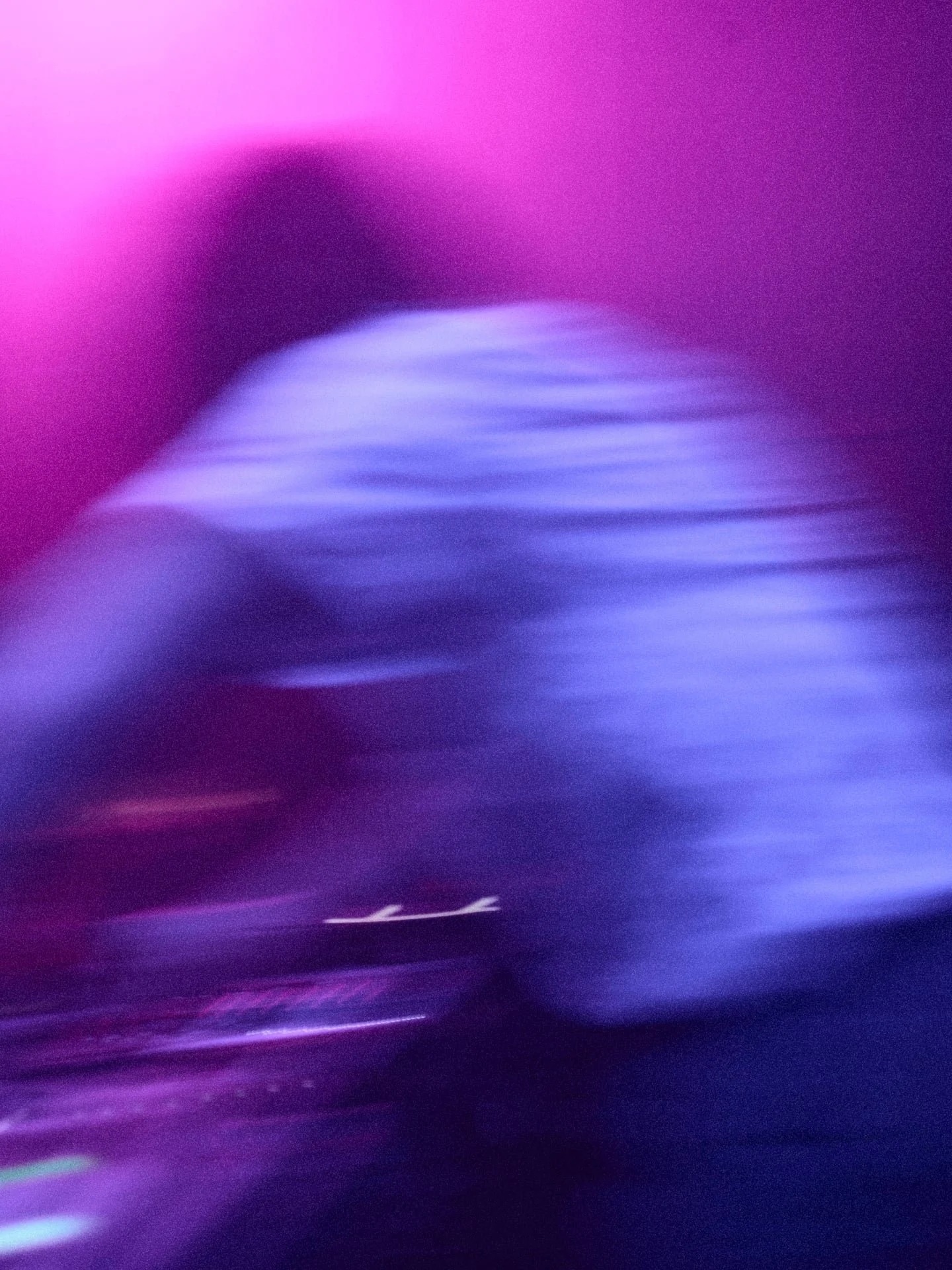 DSC_8480.jpg
